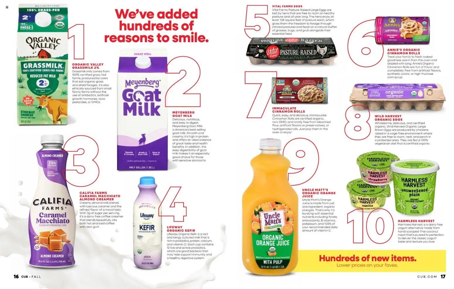 Cub Foods Fall Magazine