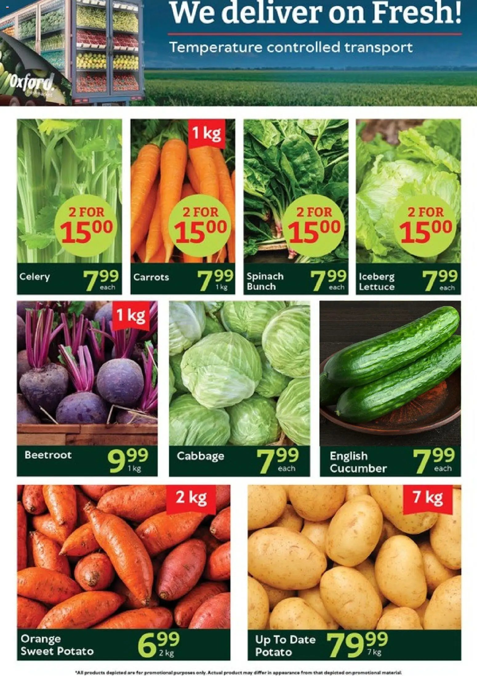Oxford Freshmarket Tuesday Sale