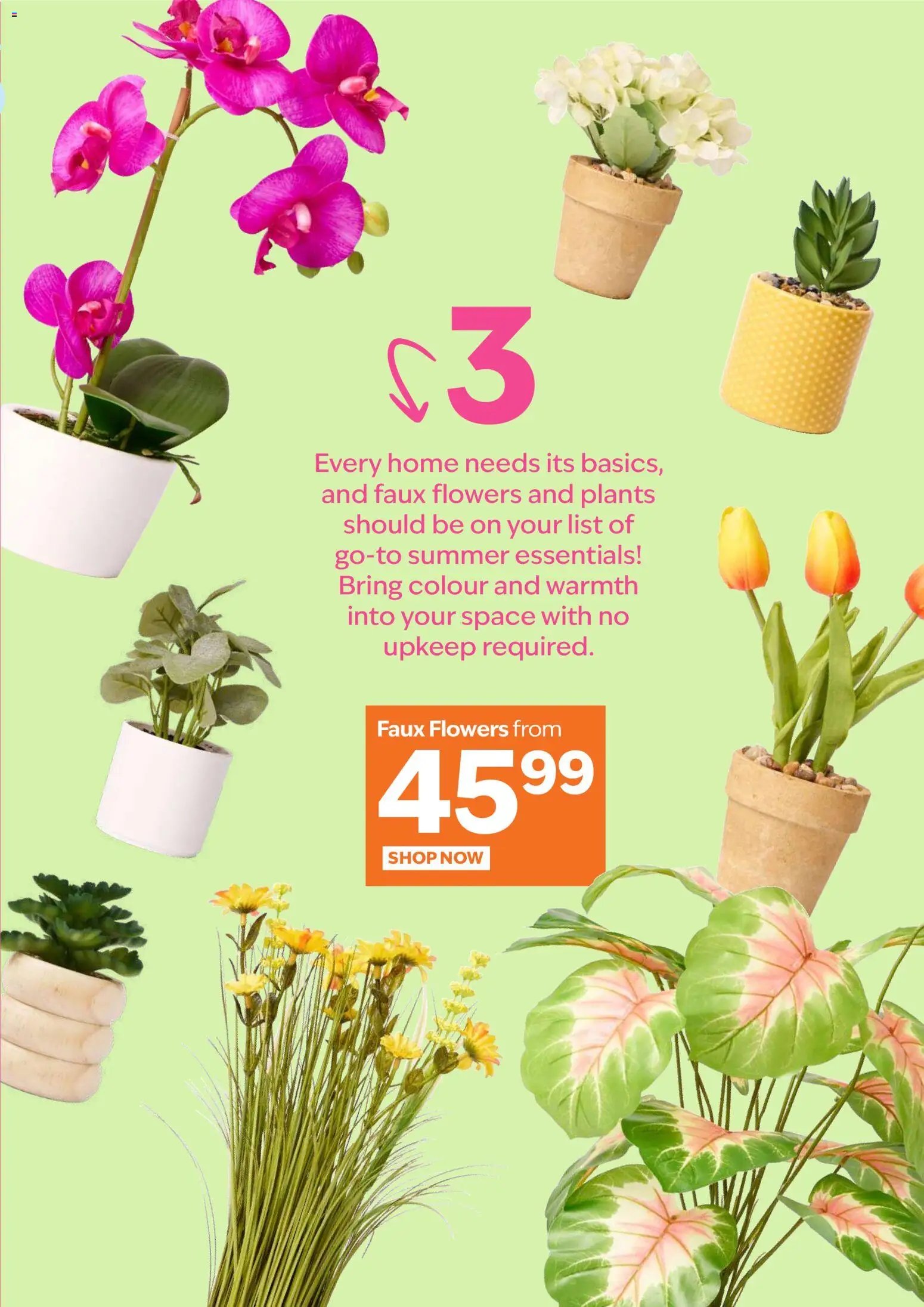 Sheet Street Specials (2025-10-24 - 2025-11-30) | 7