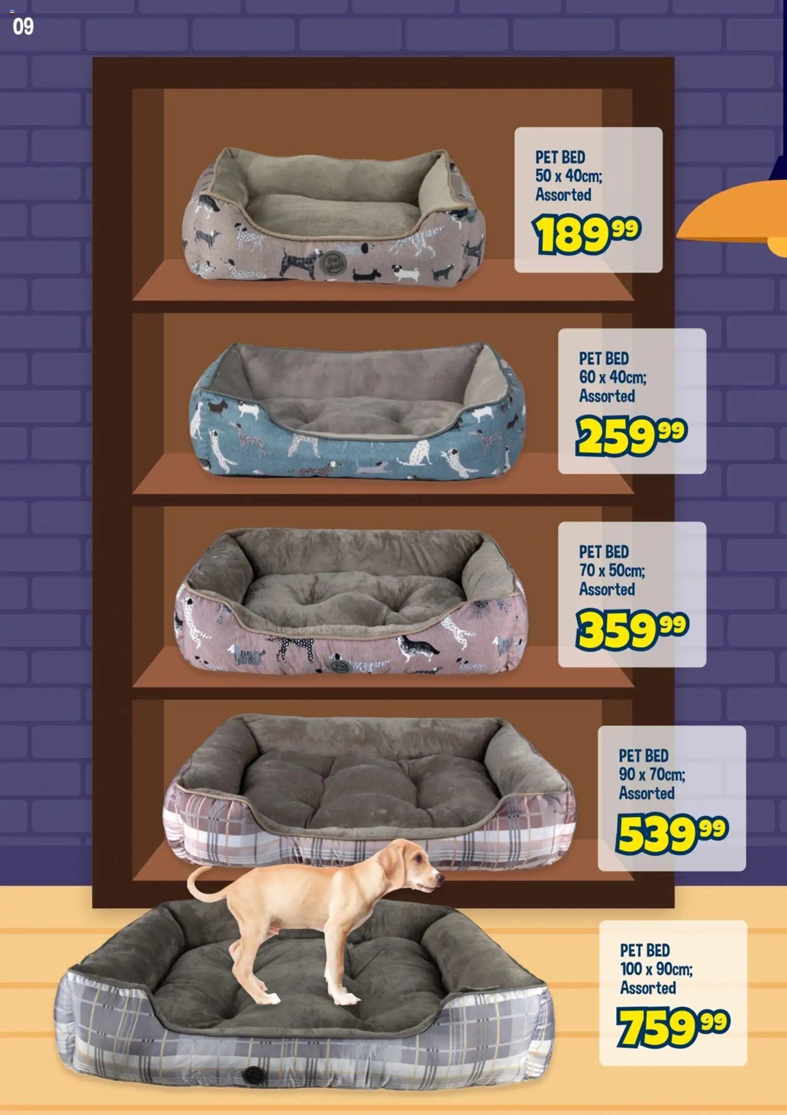 Crazy Store Pet Specials (2026-04-07 - 2026-05-15) | 10