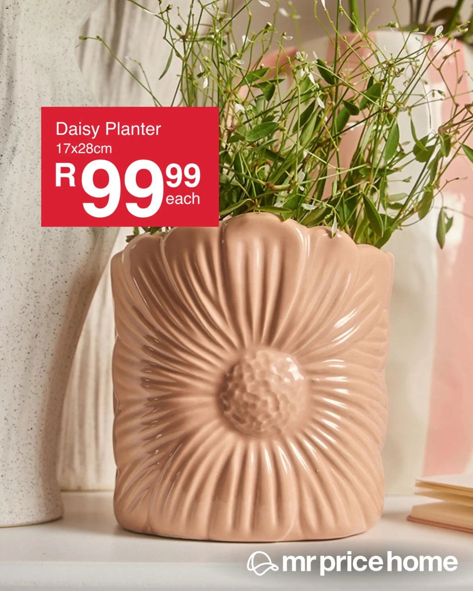 MRP Home Vase Specials (2026-05-21 - 2026-05-27) | 2