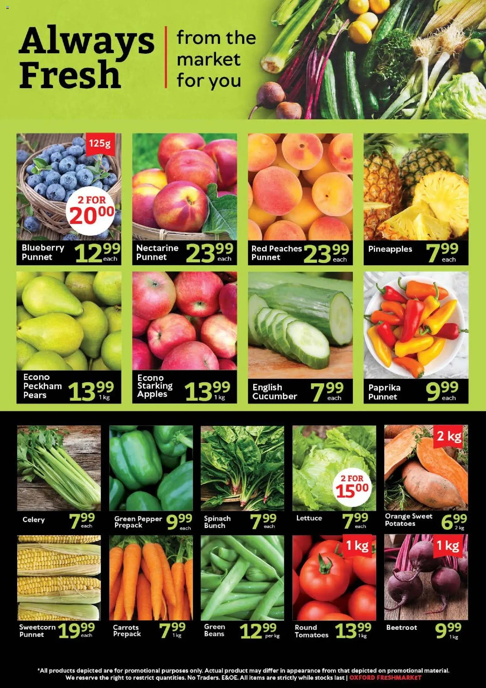 Oxford Freshmarket Tuesday Sale