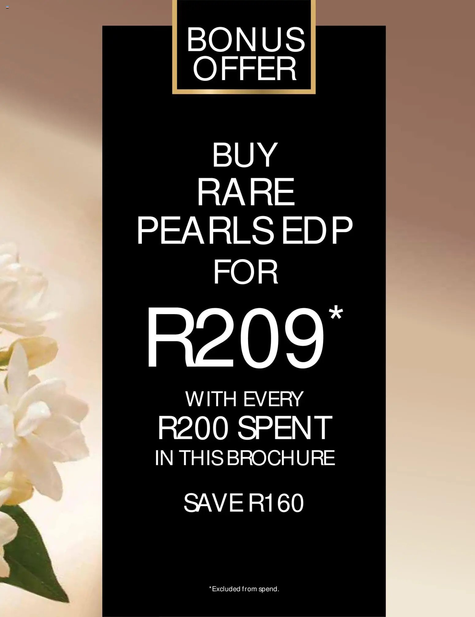Avon Catalogue