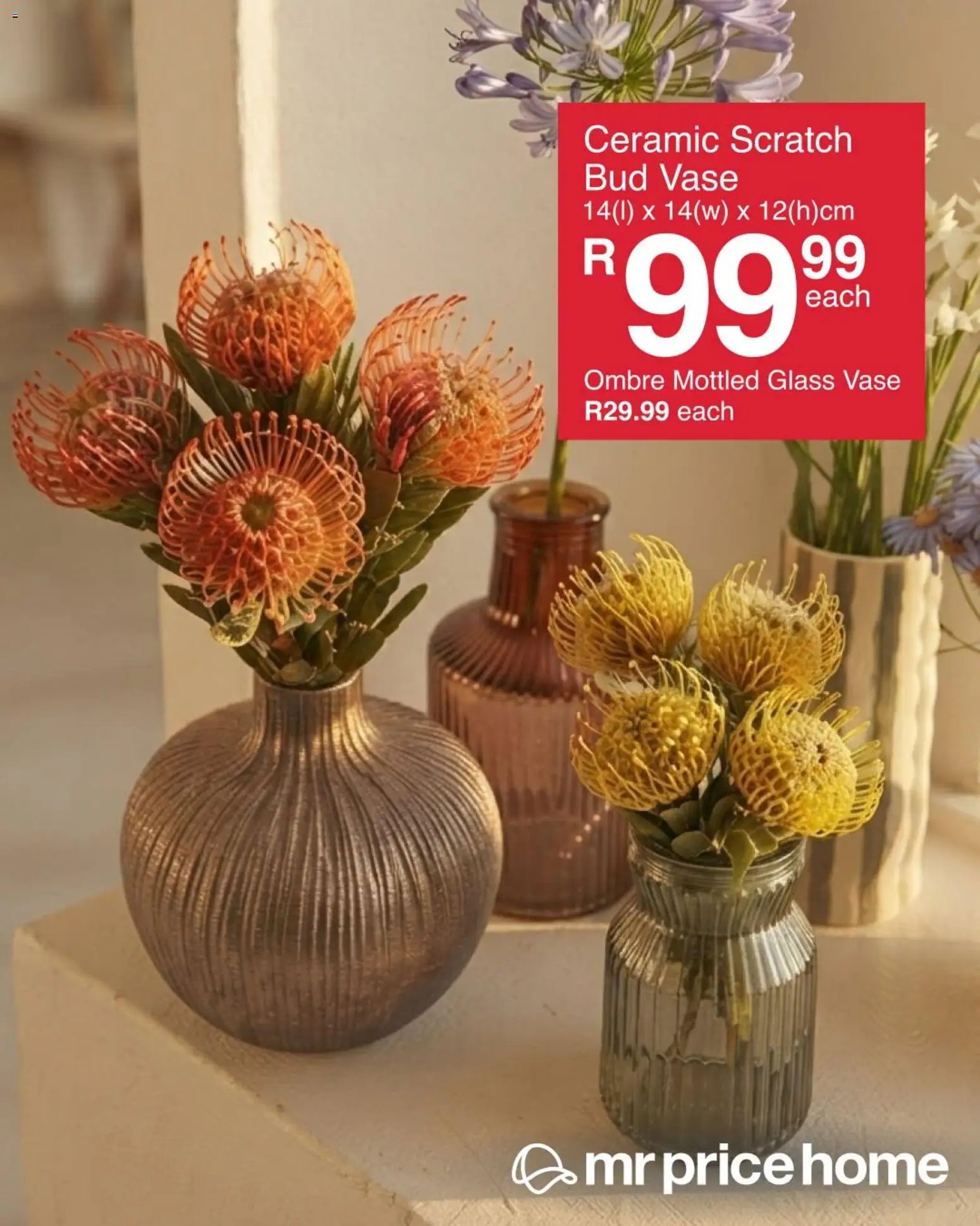 MRP Home Protea-inspired favourites