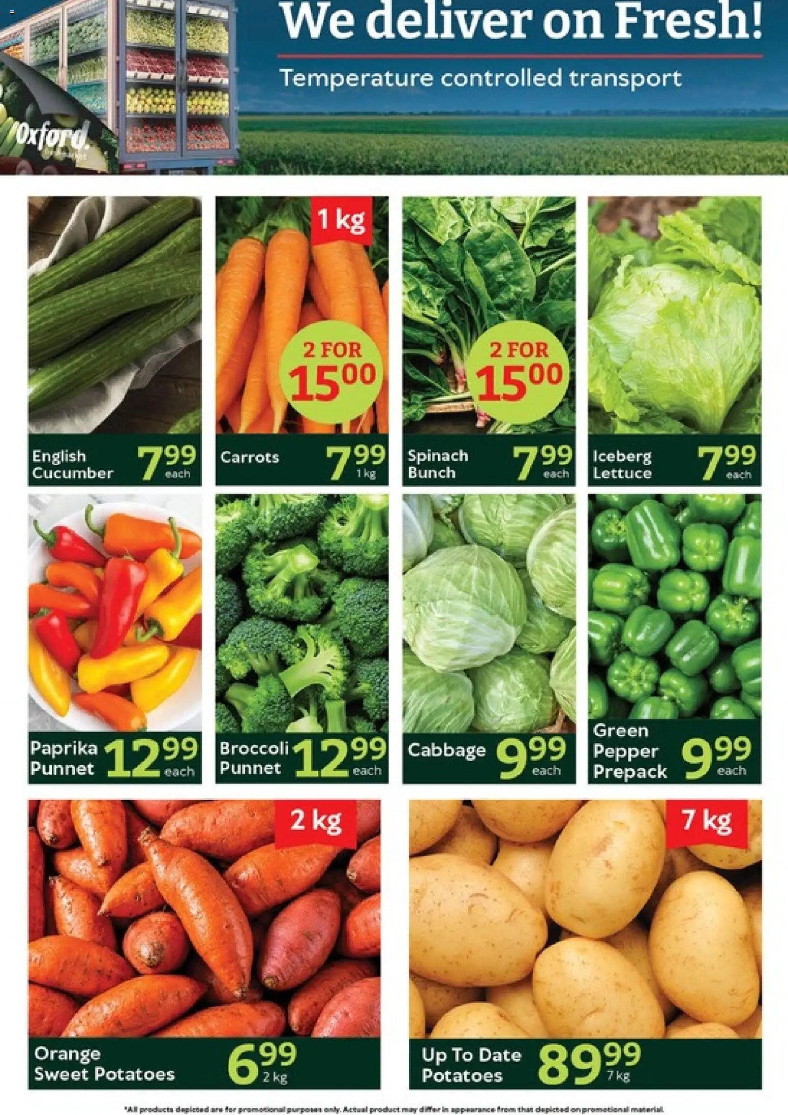Oxford Freshmarket Tuesday Sale