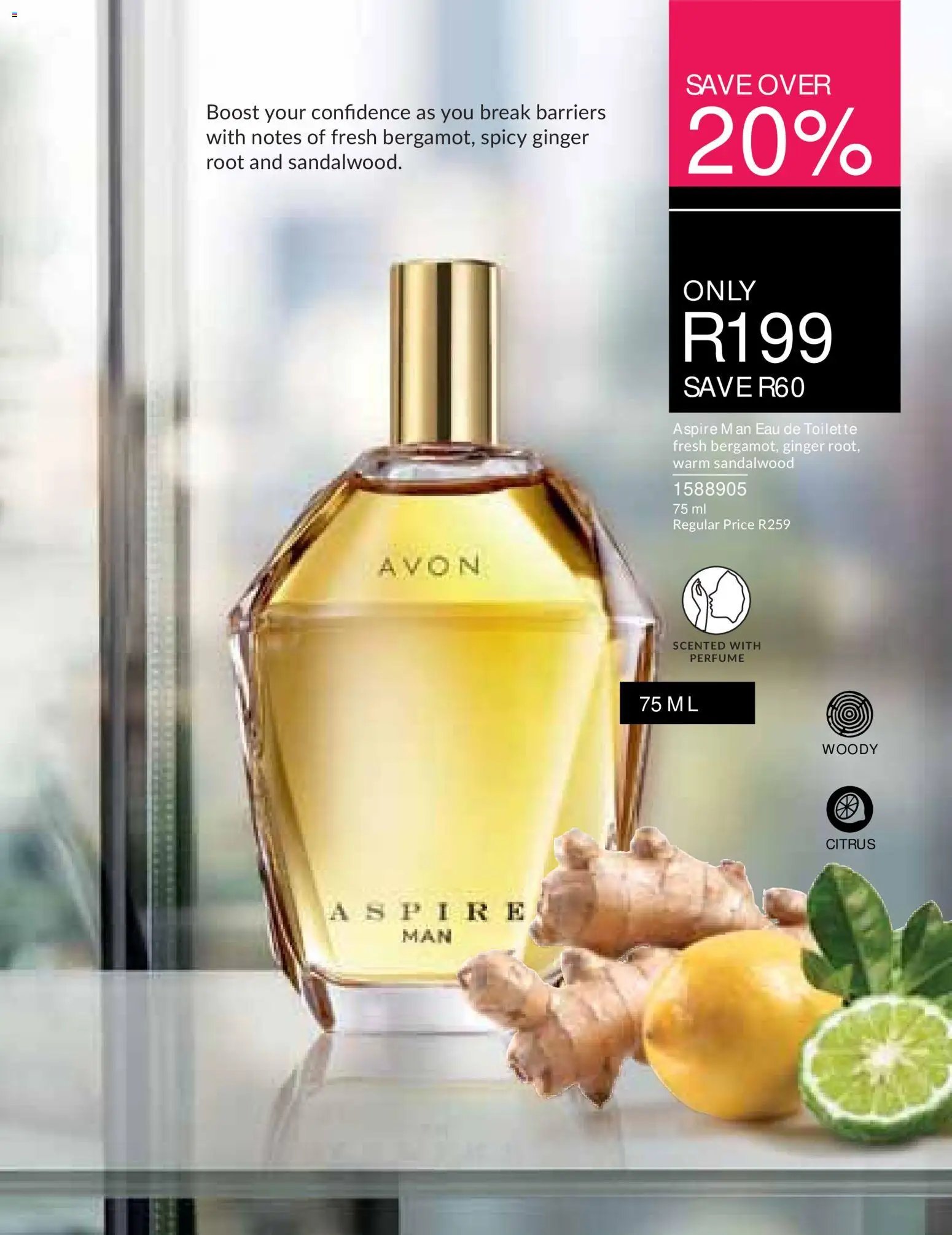 Avon Printed Catalogue
