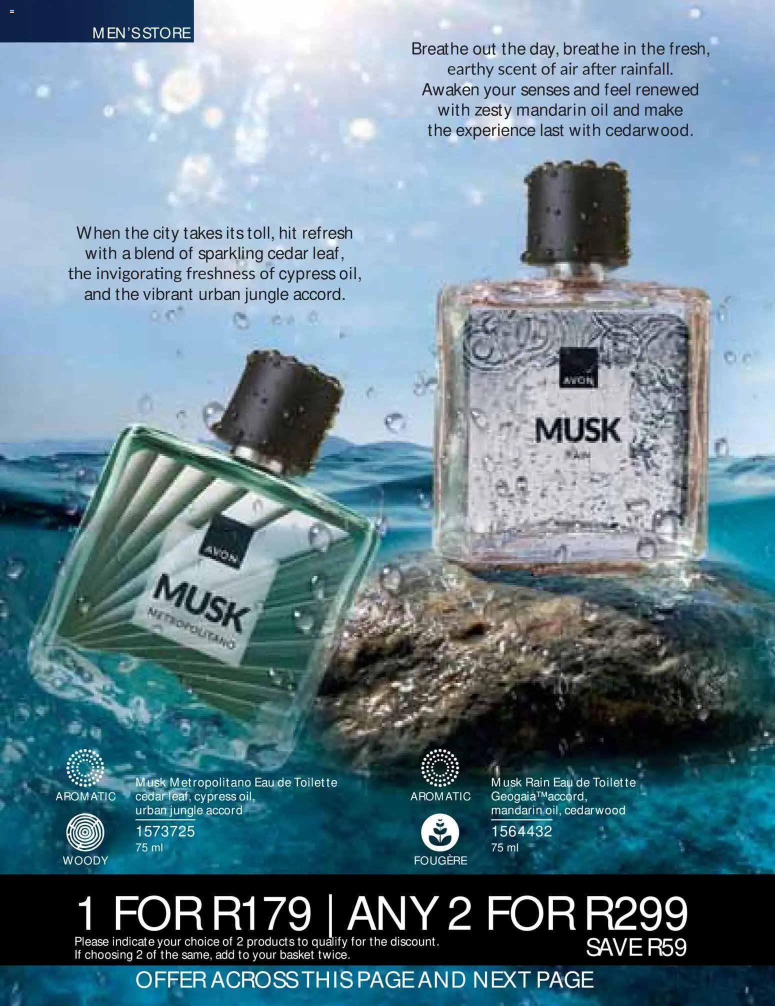 Avon Printed Catalogue