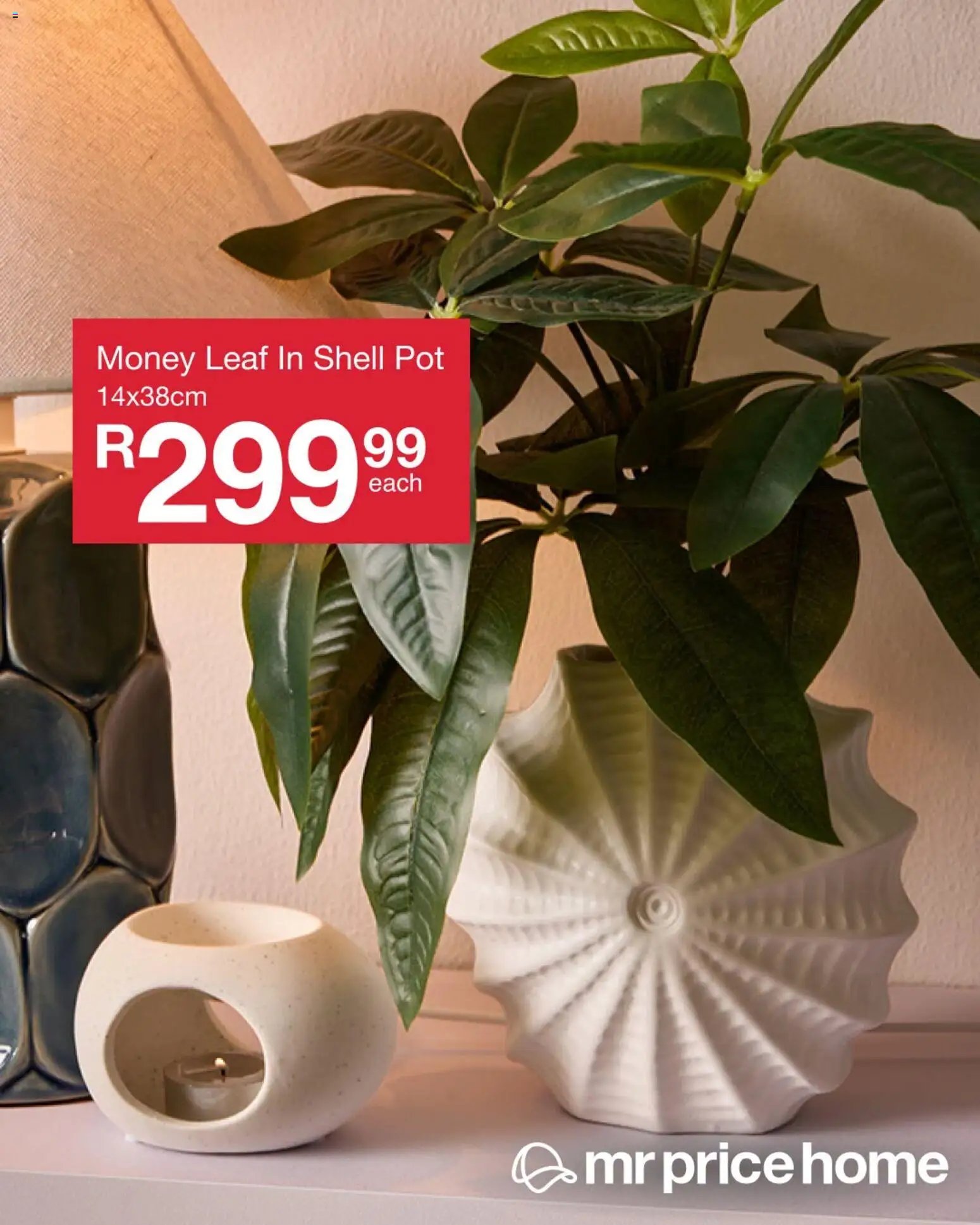 MRP Home Ceramics Specials