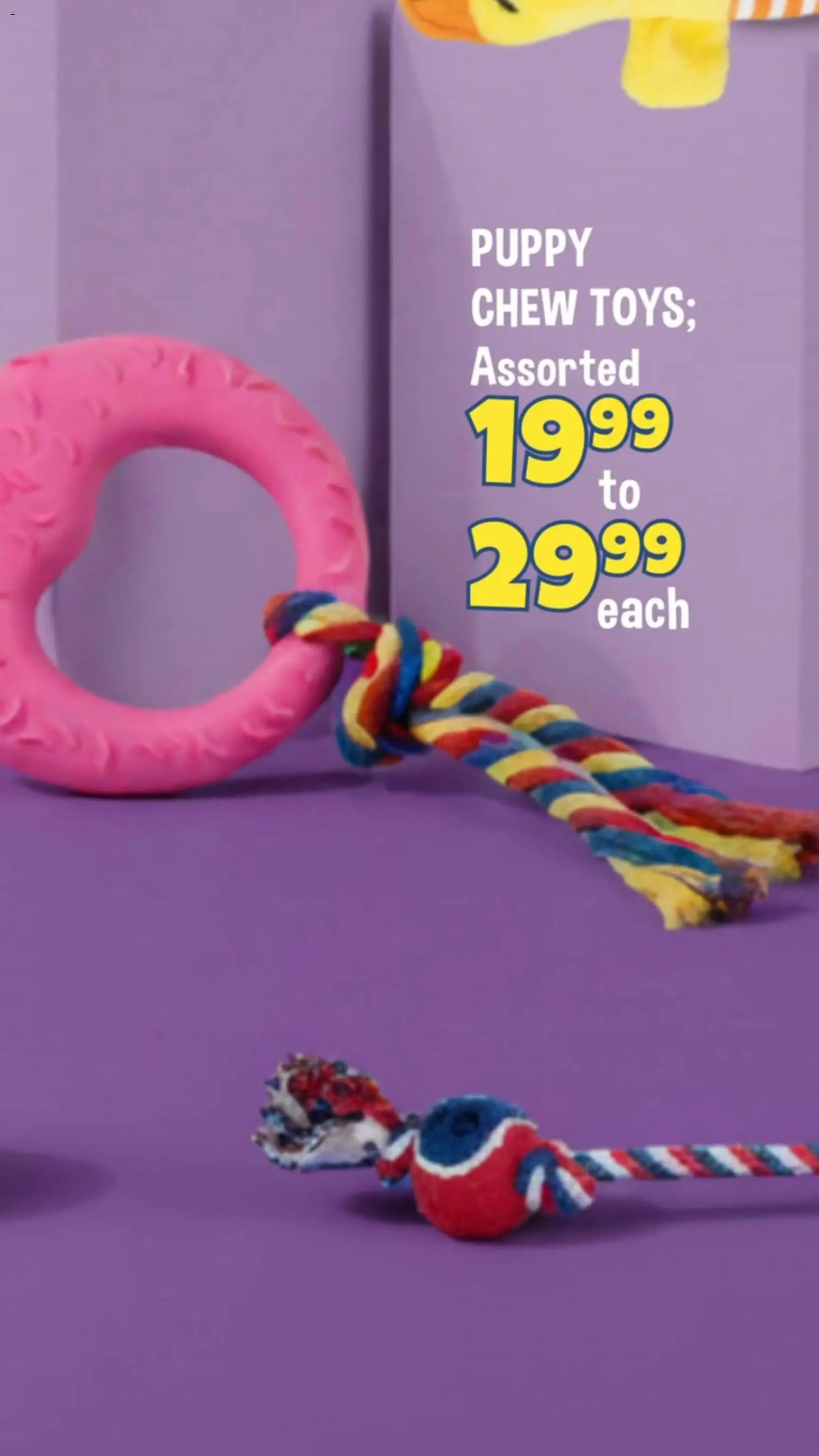 Crazy Store Pet Toys Specials (2026-04-12 - 2026-05-15) | 5