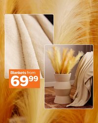 Sheet Street New Decor Specials (2026-05-06 - 2026-05-12)