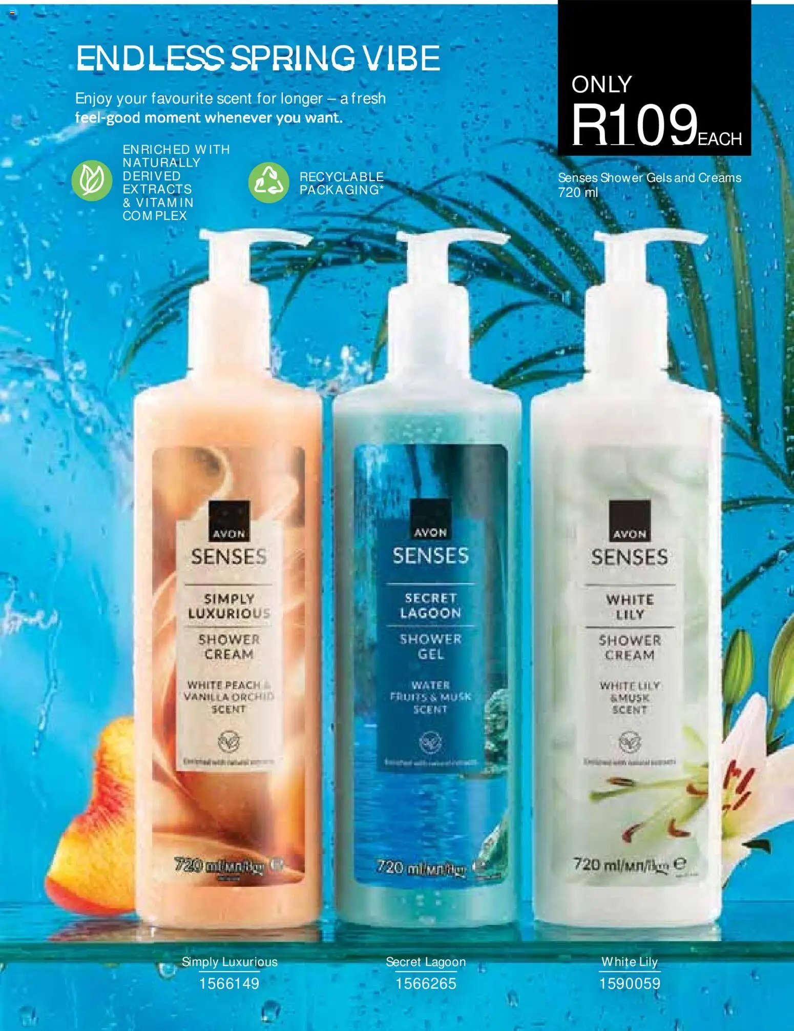 Avon Catalogue