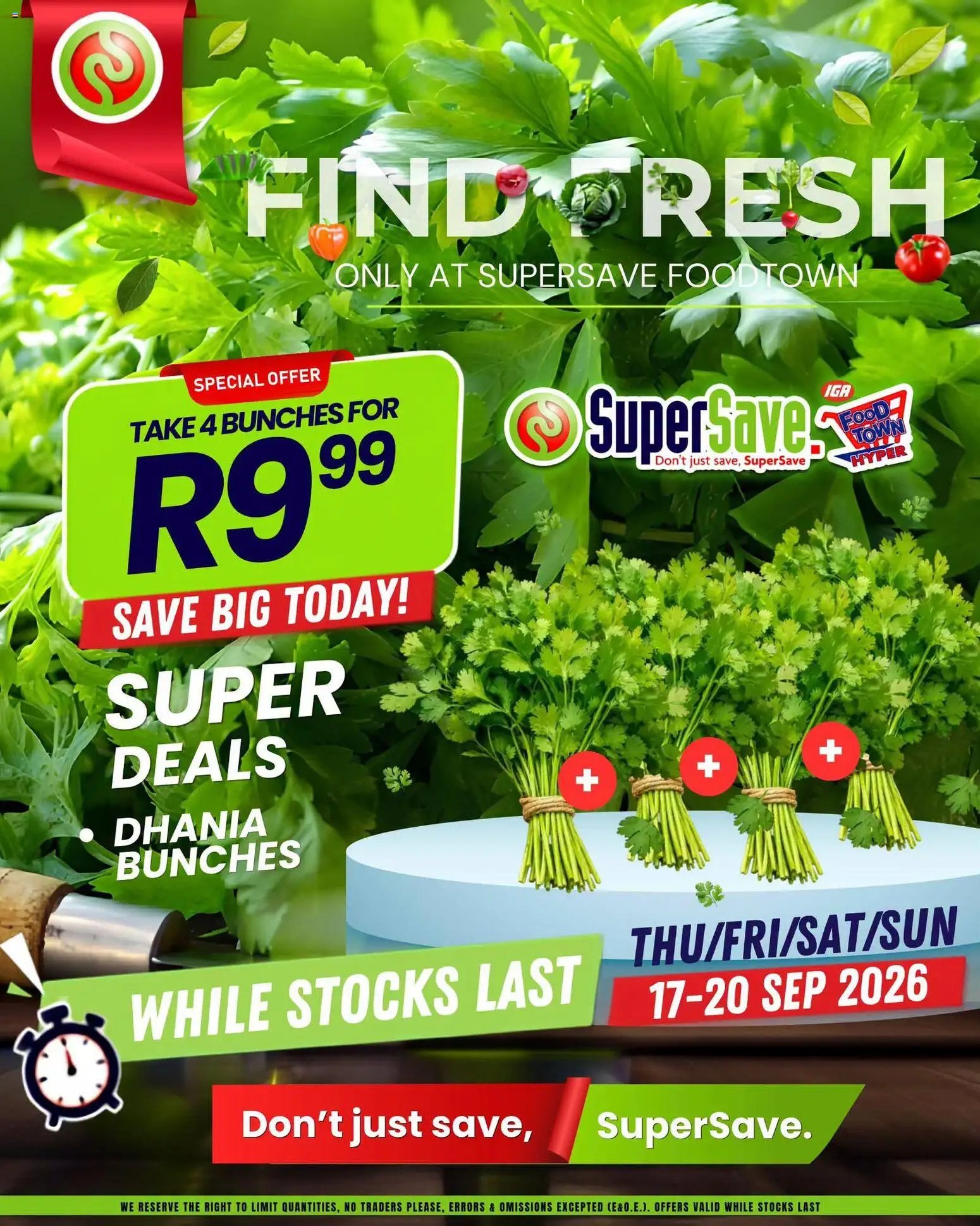 Super Save Dhania bunches