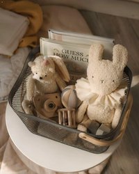 Crazy Plastics Organizer Mesh Basket