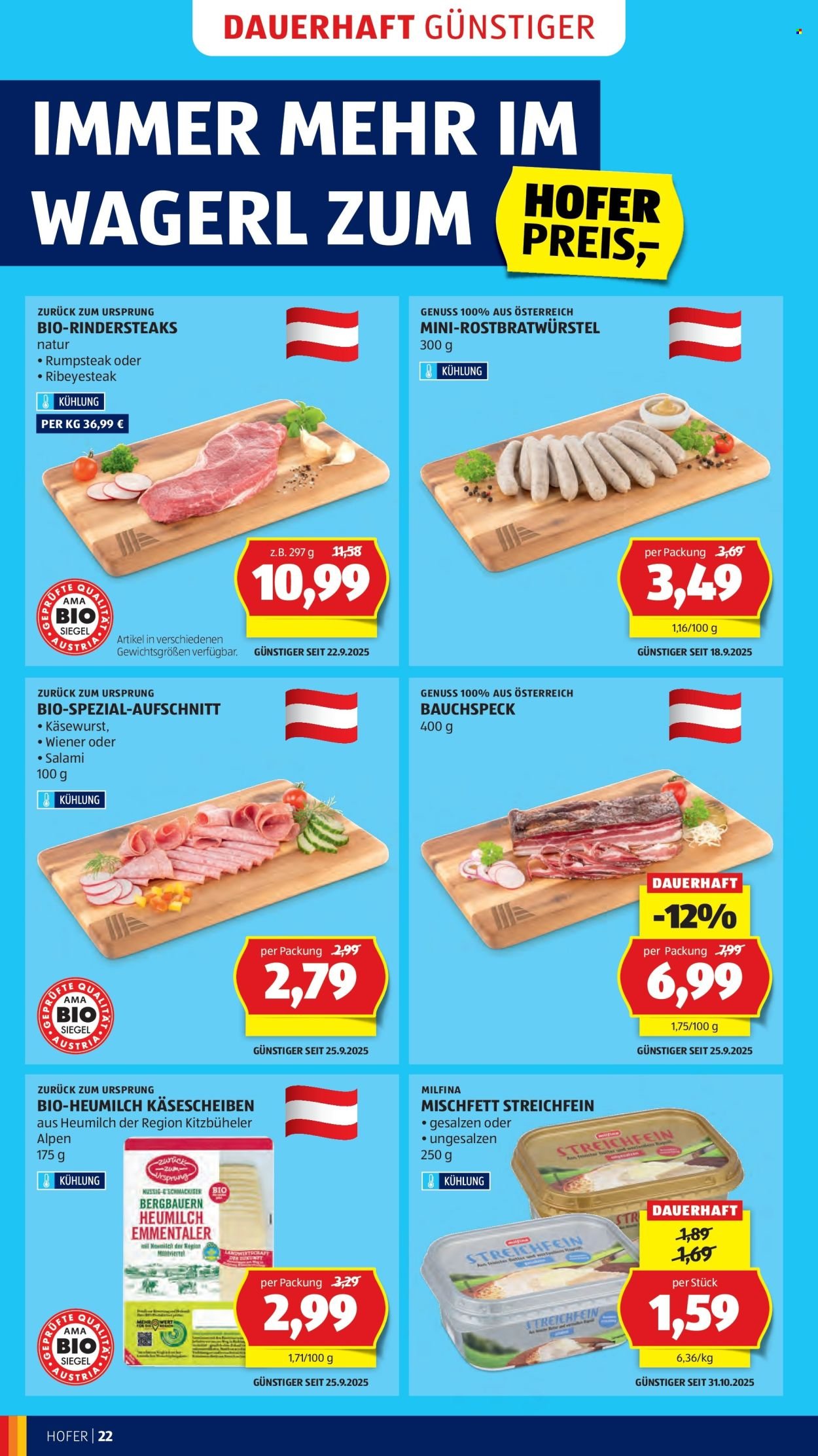 HOFER Flugblatt - Ab Freitag, 14.11.2025 (2025-11-14 - 2025-11-20)