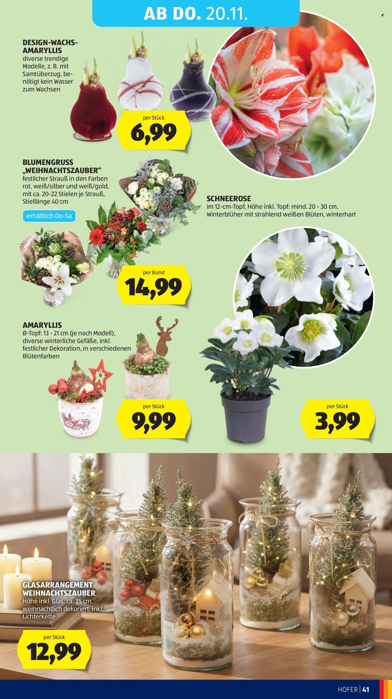 HOFER Flugblatt - Ab Freitag, 14.11.2025 (2025-11-14 - 2025-11-20)