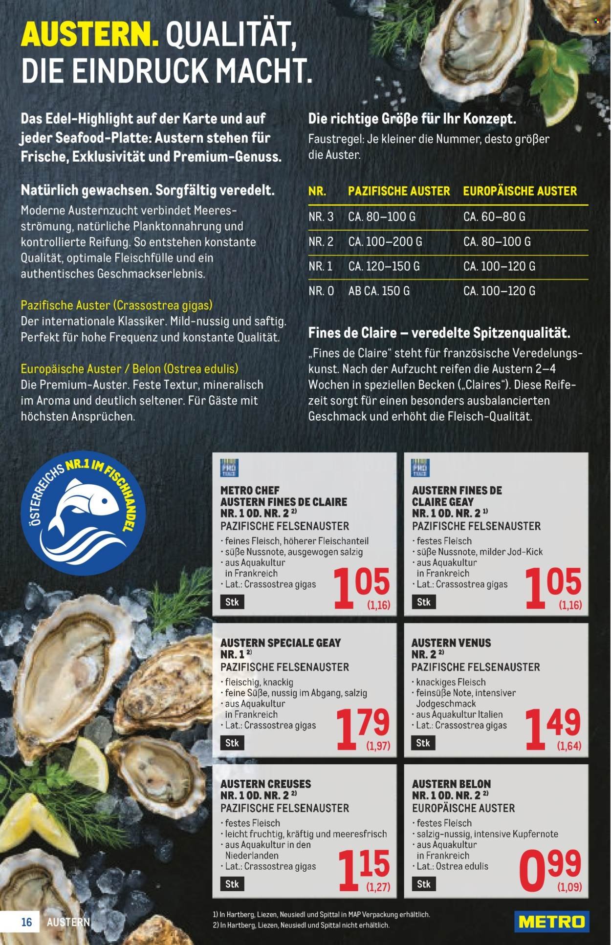 METRO Flugblatt - Profi