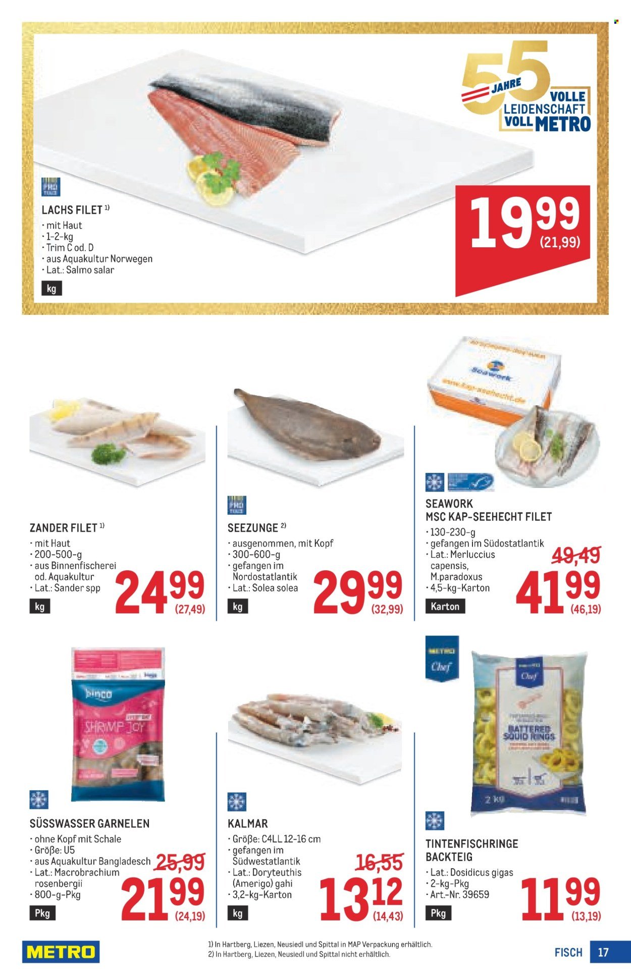 METRO Flugblatt - Profi