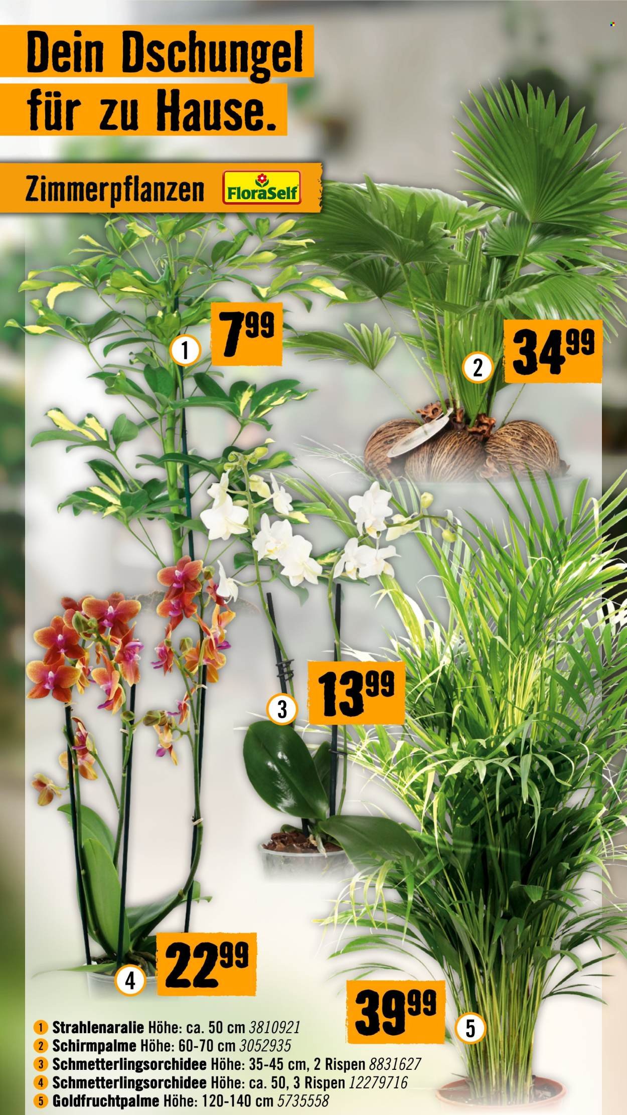 HORNBACH Flugblatt - Ab Montag, 28.9.2026