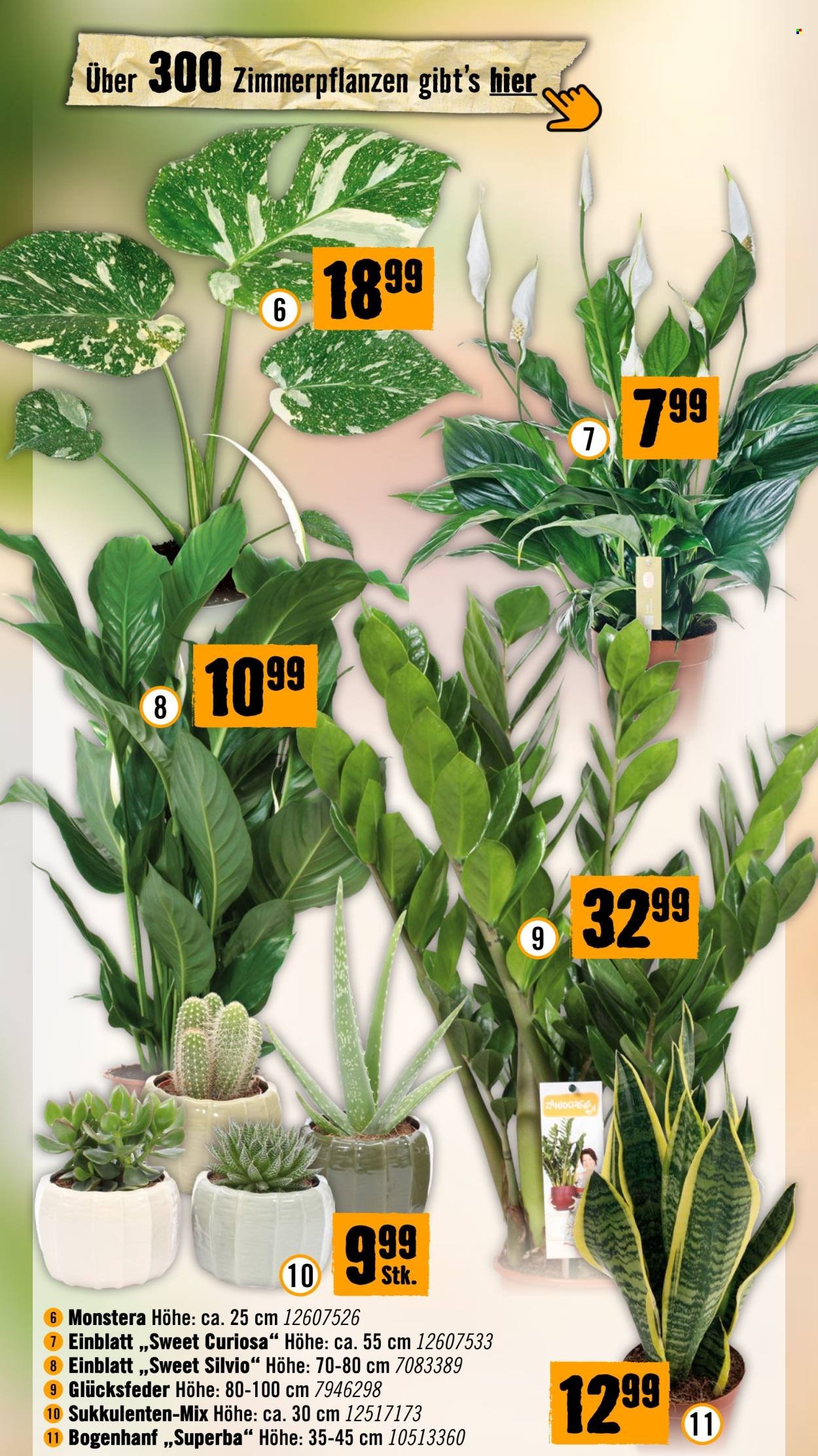HORNBACH Flugblatt - Ab Montag, 28.9.2026