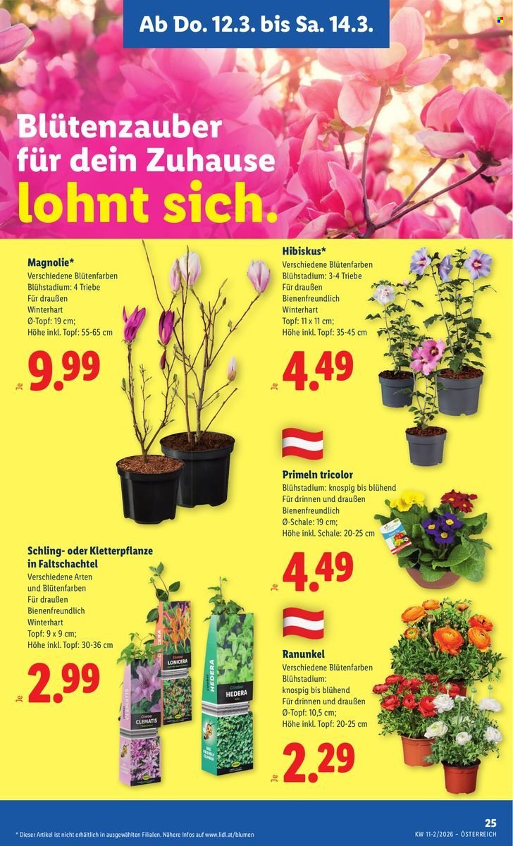 LIDL Flugblatt - Ab Donnerstag, 12.3.2026 (2026-03-12 - 2026-03-18) | 29