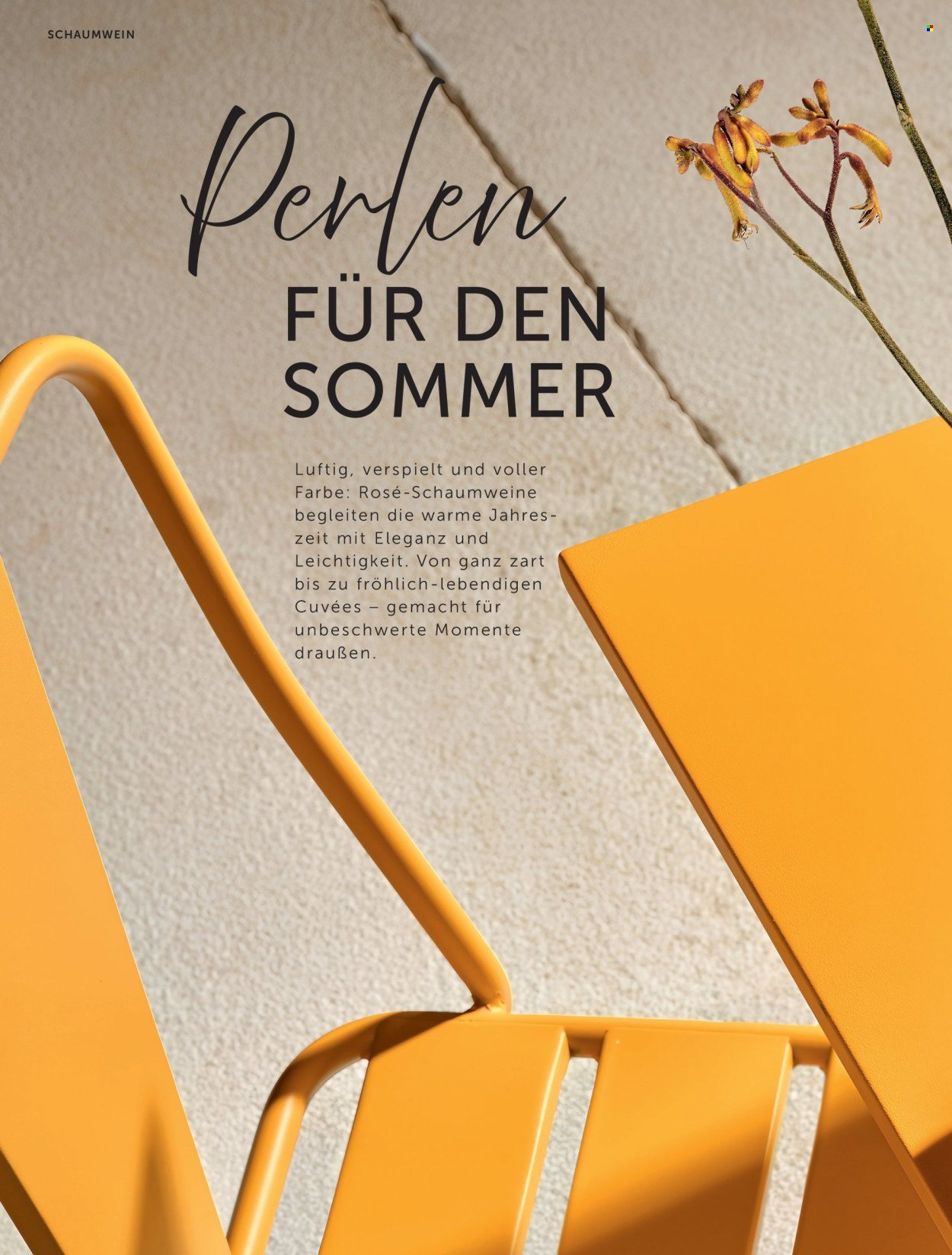 INTERSPAR Flugblatt - weinwelt Magazin Sommer