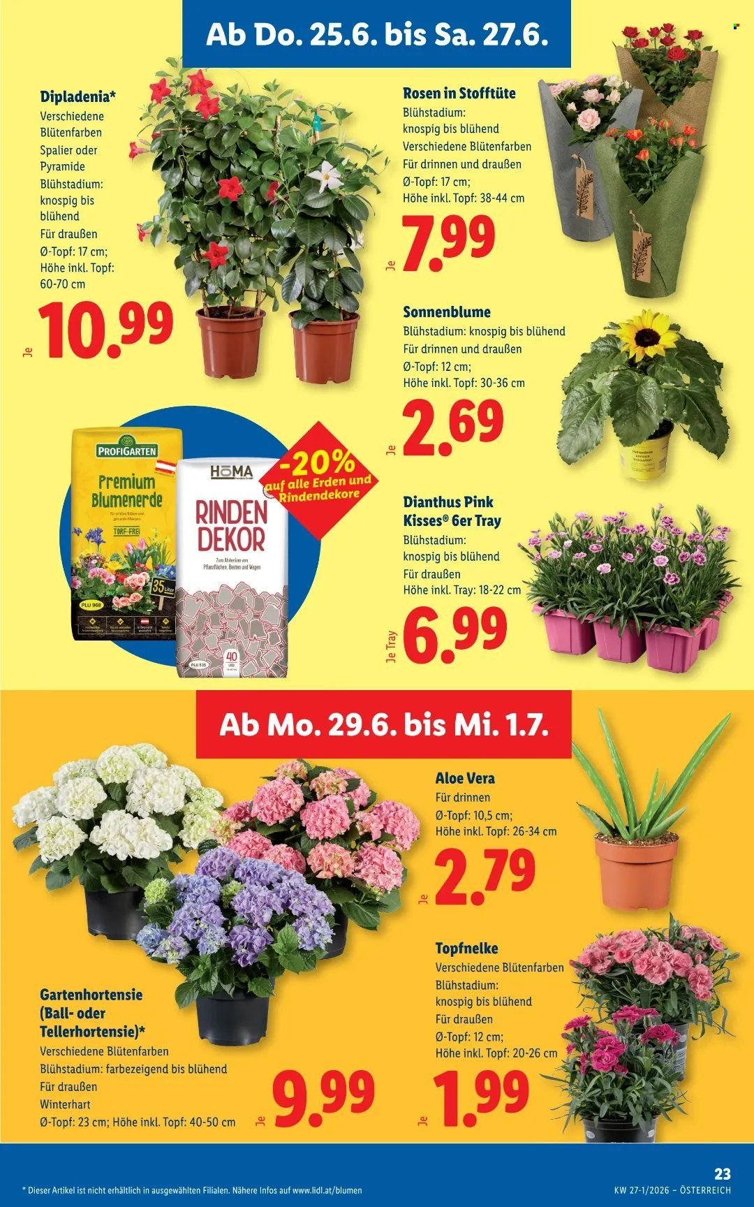 LIDL Flugblatt - Ab Donnerstag, 25.6.2026