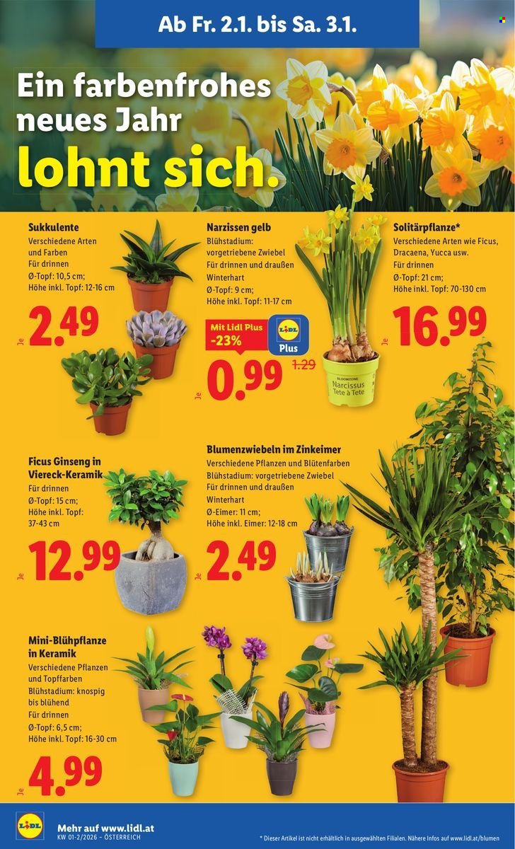 LIDL Flugblatt - Ab Freitag, 2.1.2026