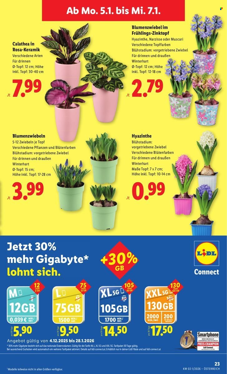 LIDL Flugblatt - Ab Freitag, 2.1.2026