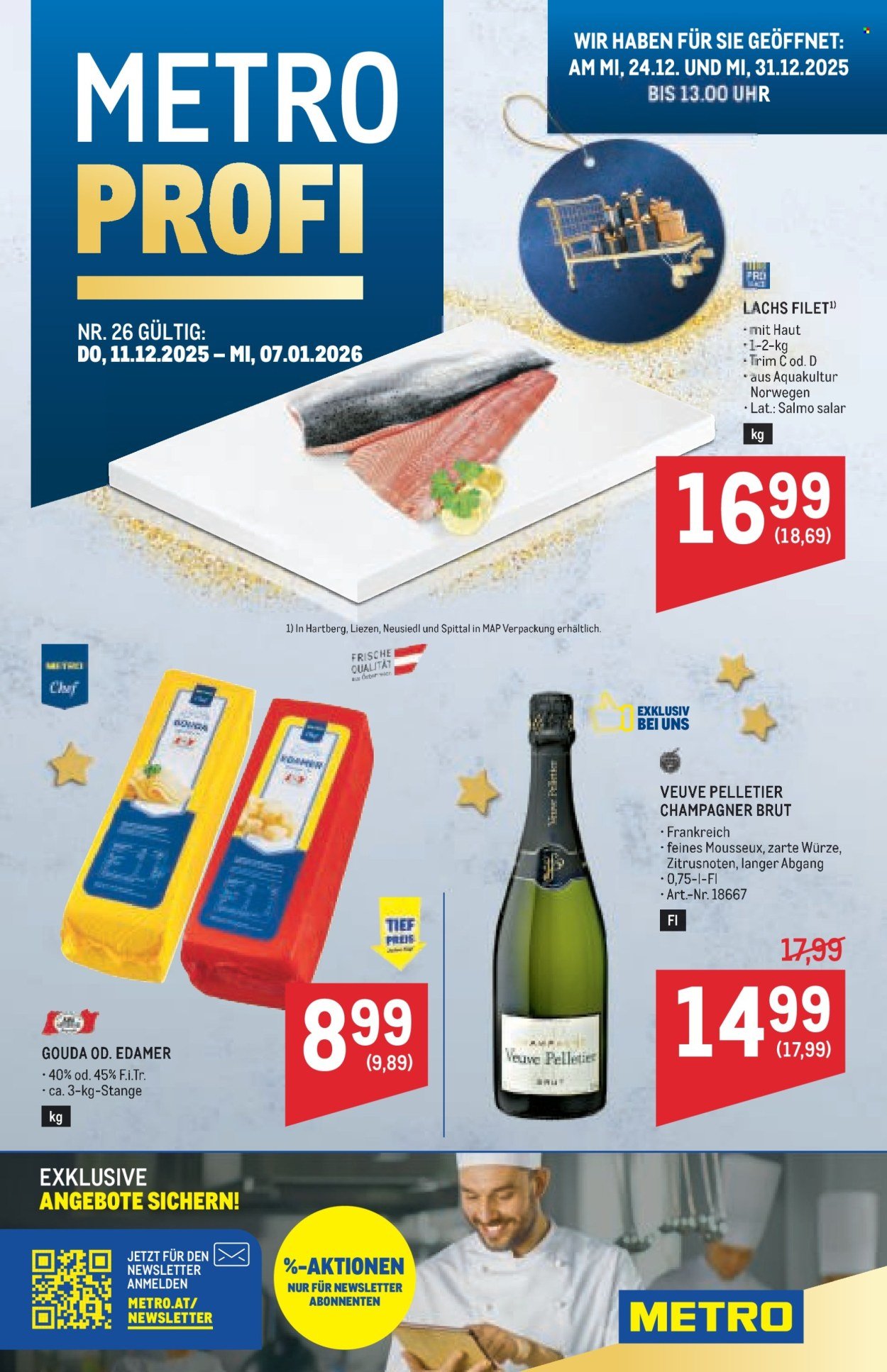 METRO Flugblatt - Profi