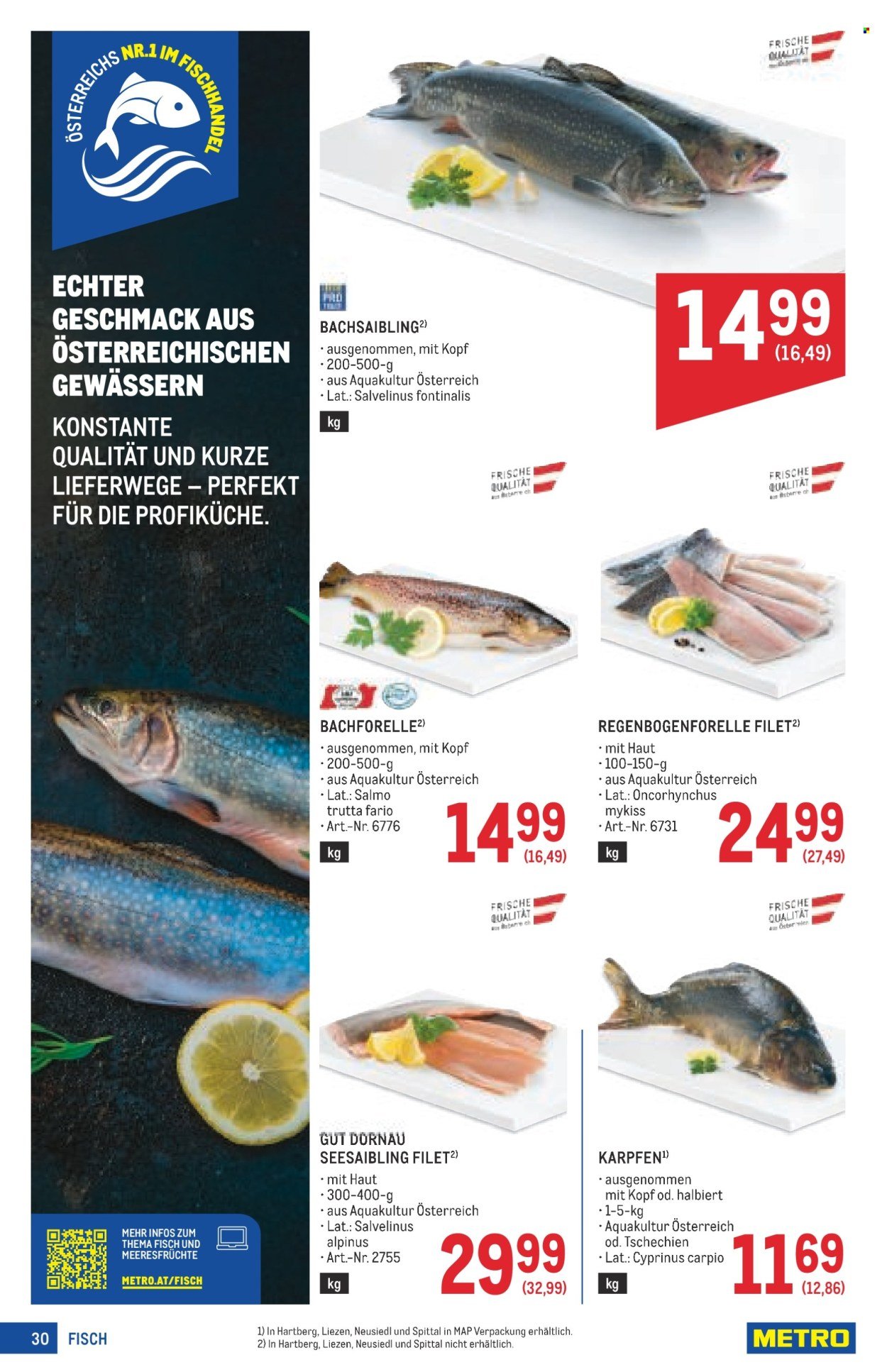 METRO Flugblatt - Profi (2025-12-11 - 2026-01-07) | 30