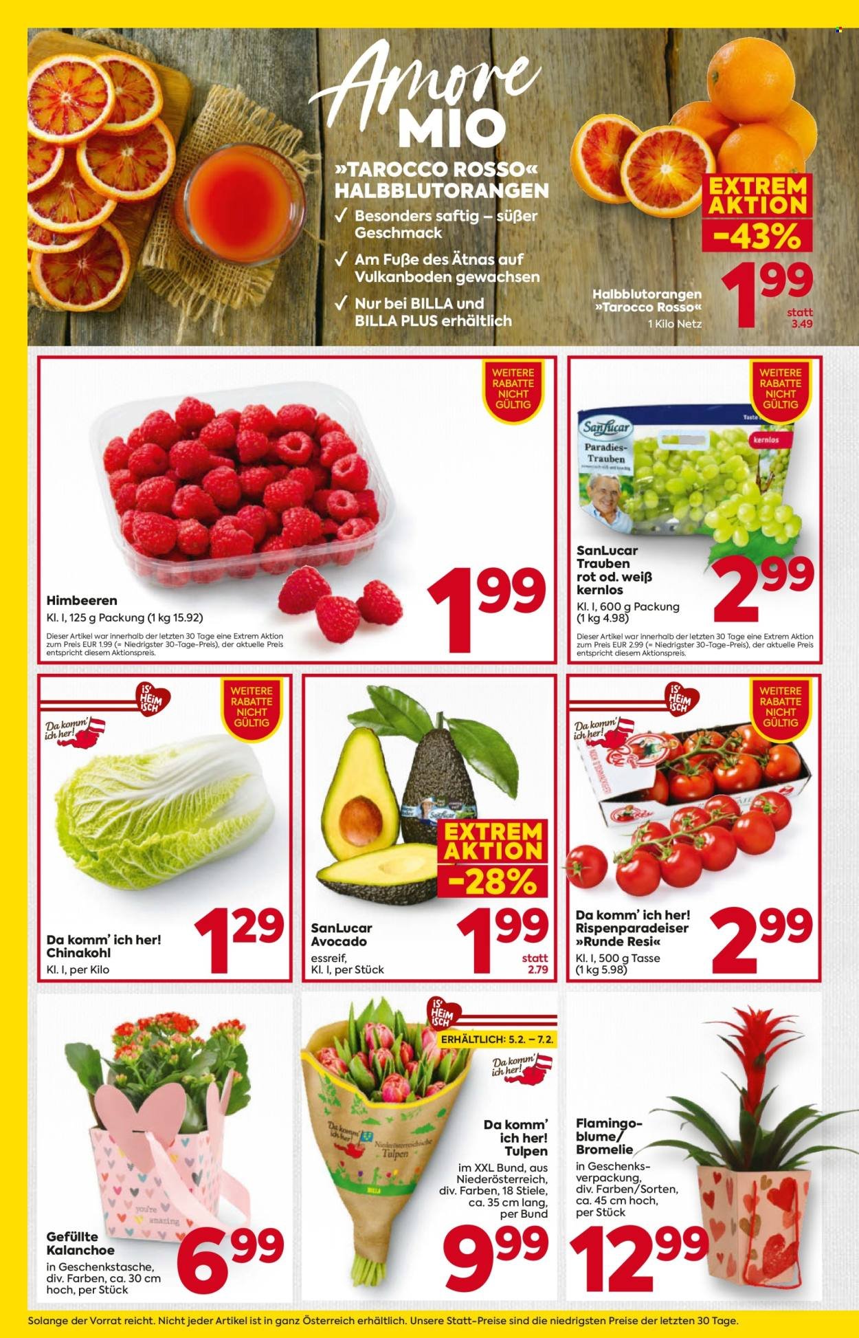 BILLA Flugblatt - Ab Donnerstag, 5.2.2026