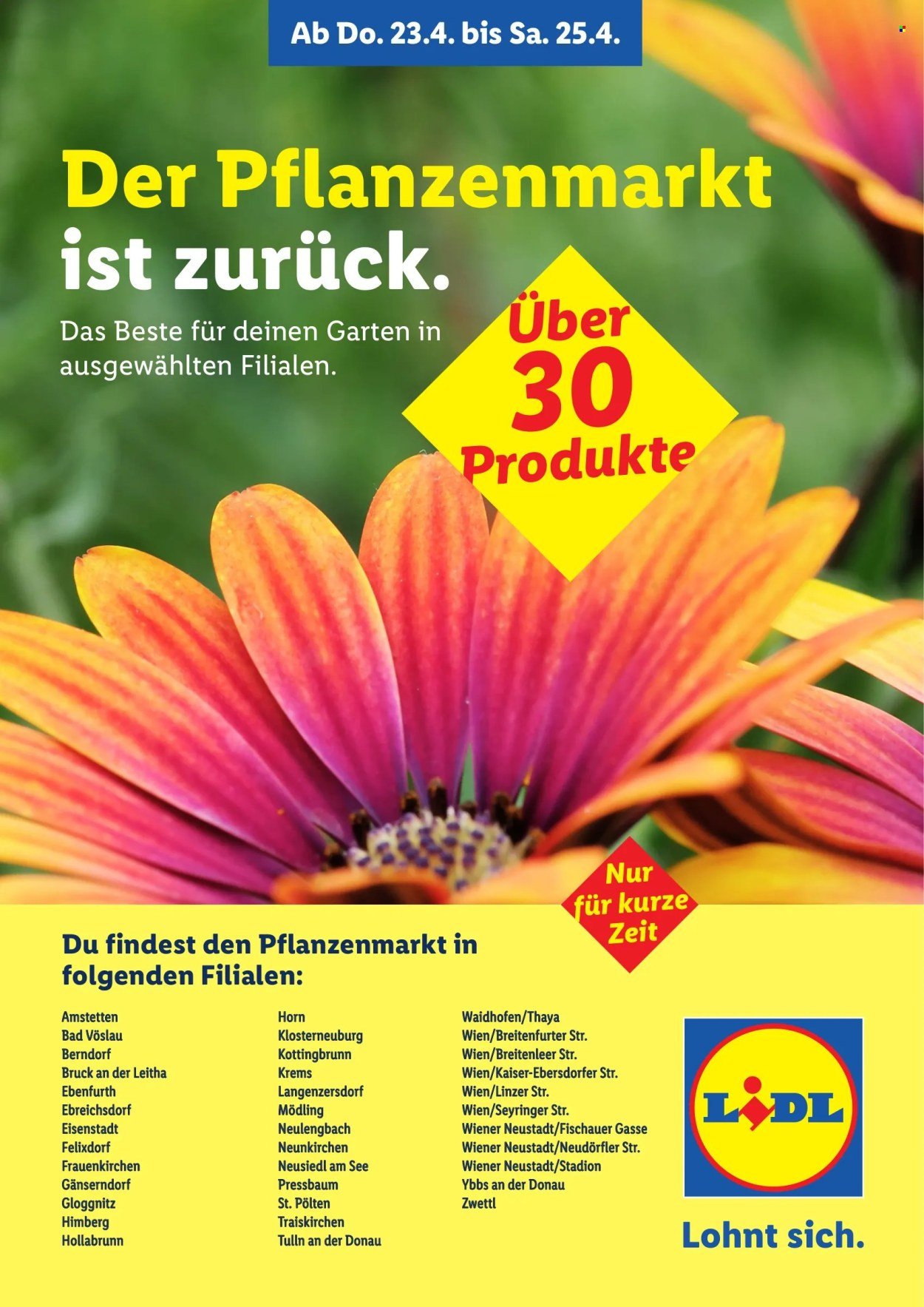 LIDL Flugblatt - Pflanzenmarkt