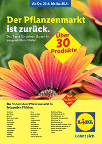 LIDL Flugblatt - Pflanzenmarkt