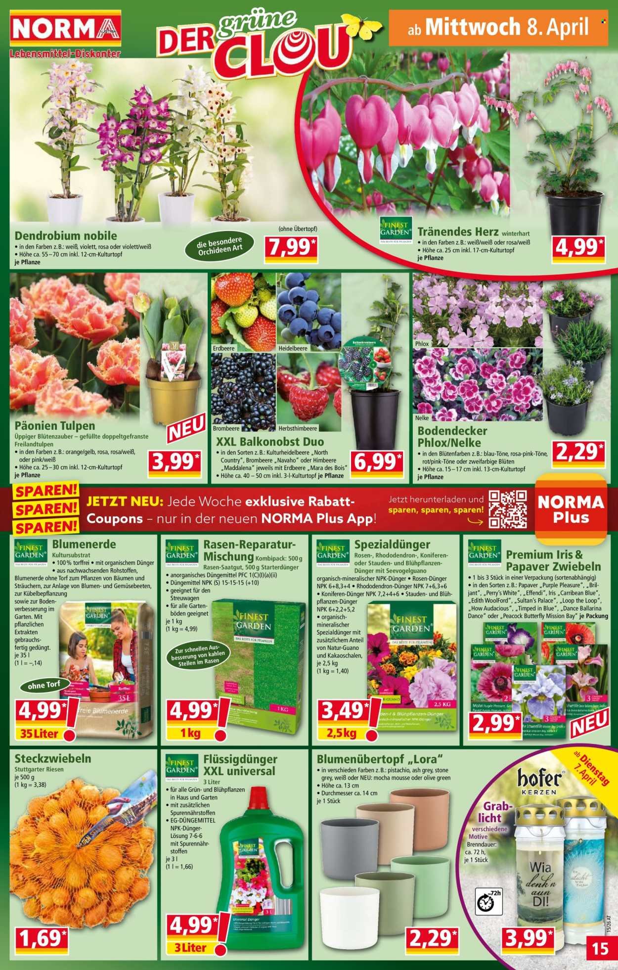NORMA Flugblatt - Ab Dienstag, 7.4.2026