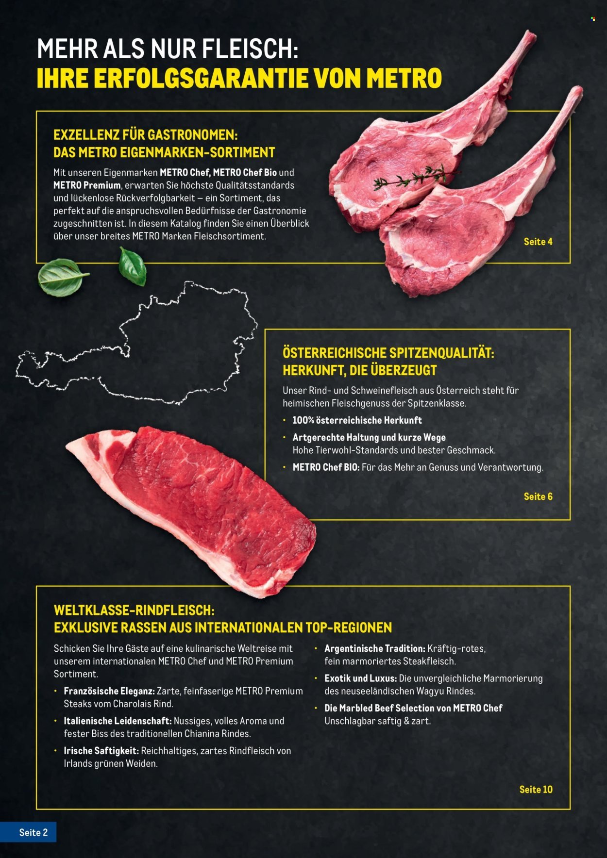 METRO Flugblatt - Fleischkatalog