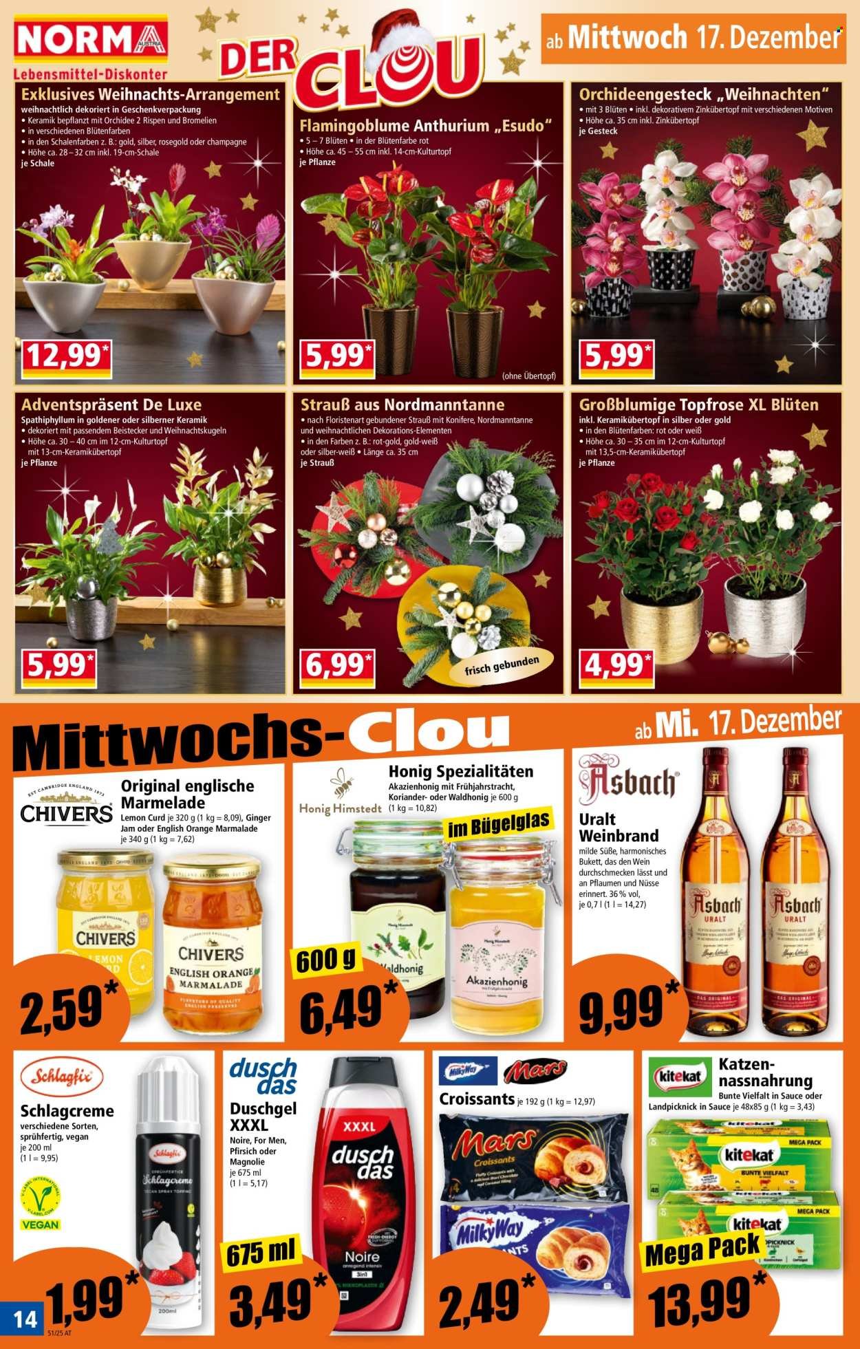 NORMA Flugblatt - Ab Montag, 15.12.2025