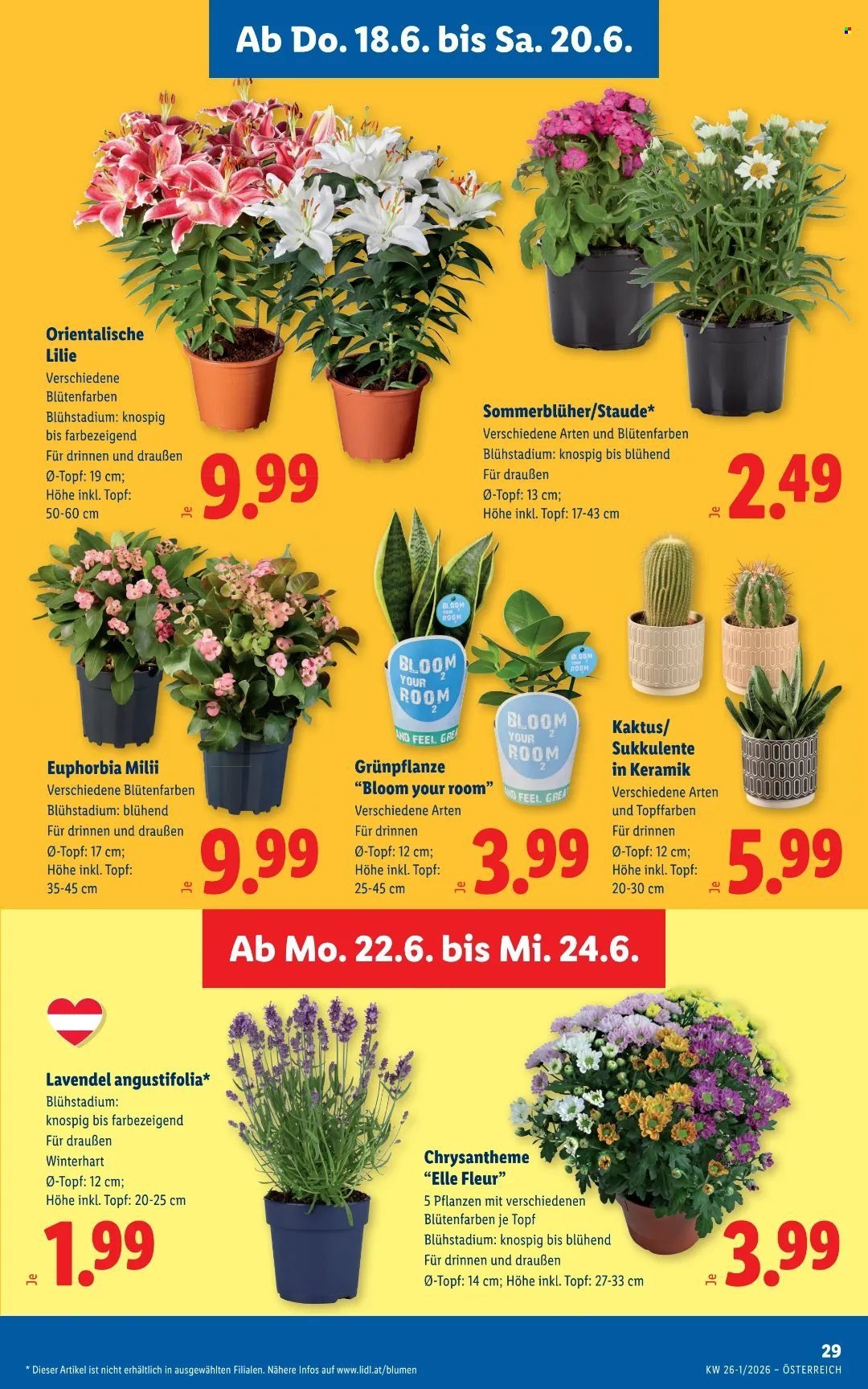 LIDL Flugblatt - Ab Donnerstag, 18.6.2026
