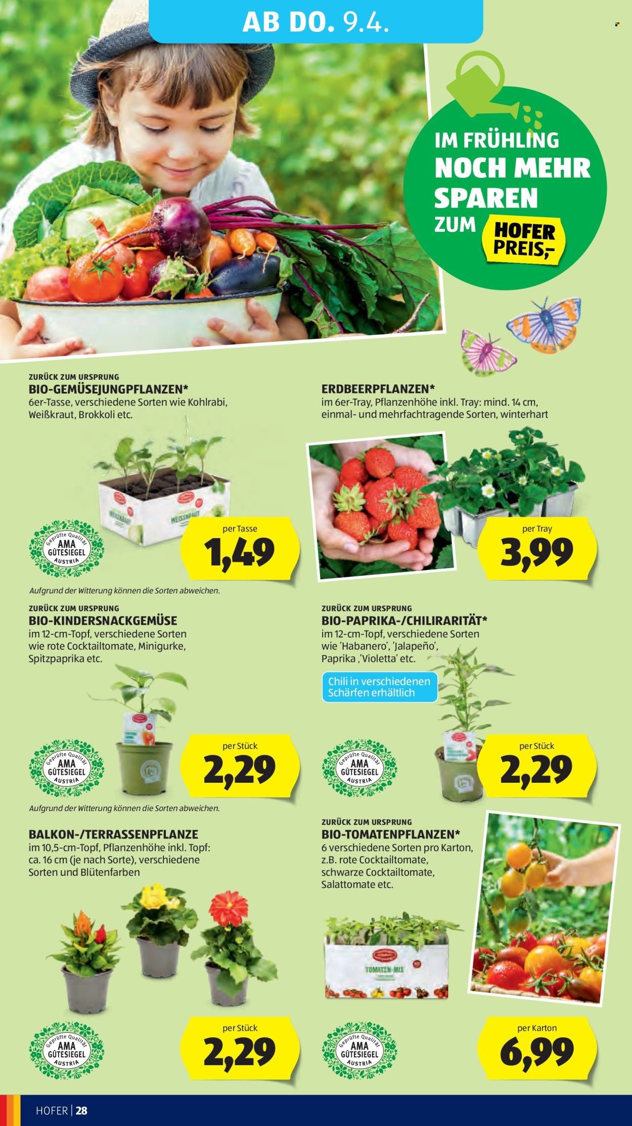 HOFER Flugblatt - Ab Freitag, 3.4.2026