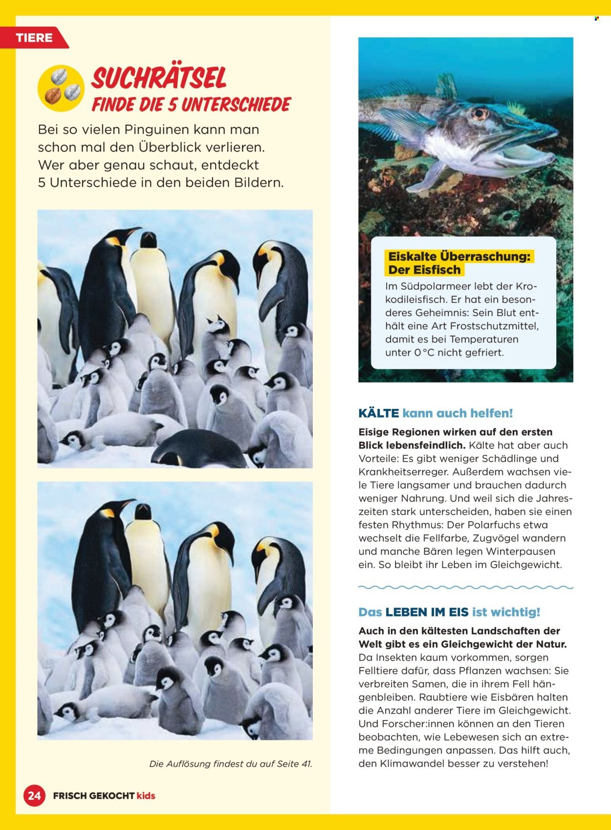 BILLA Flugblatt - Ab Montag, 1.12.2025