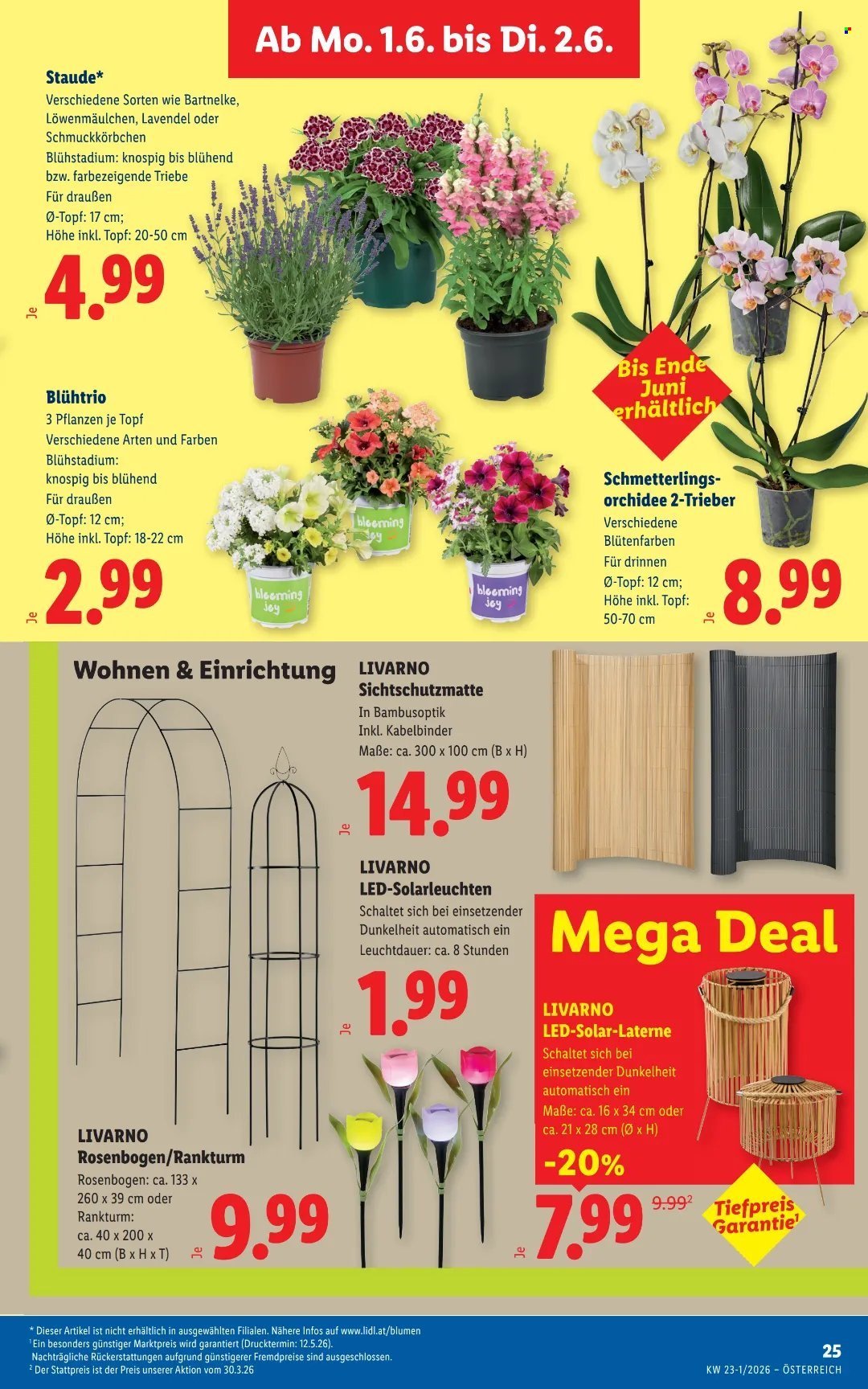 LIDL Flugblatt - Ab Donnerstag, 28.5.2026