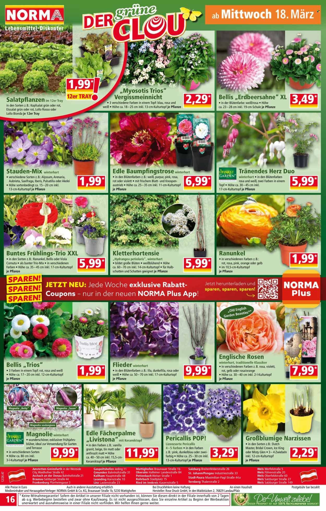 NORMA Flugblatt - Ab Montag, 16.3.2026