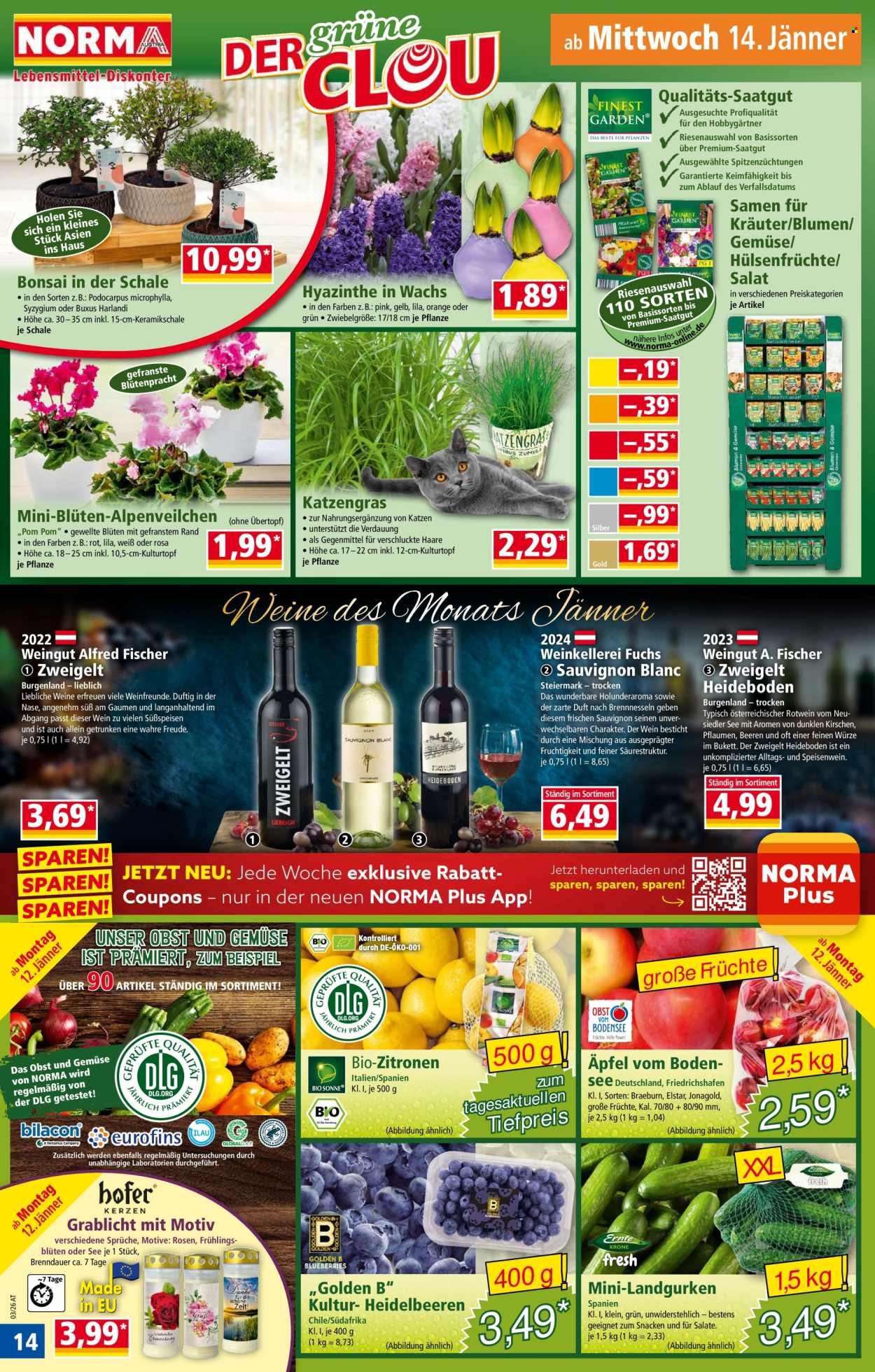 NORMA Flugblatt - Ab Montag, 12.1.2026