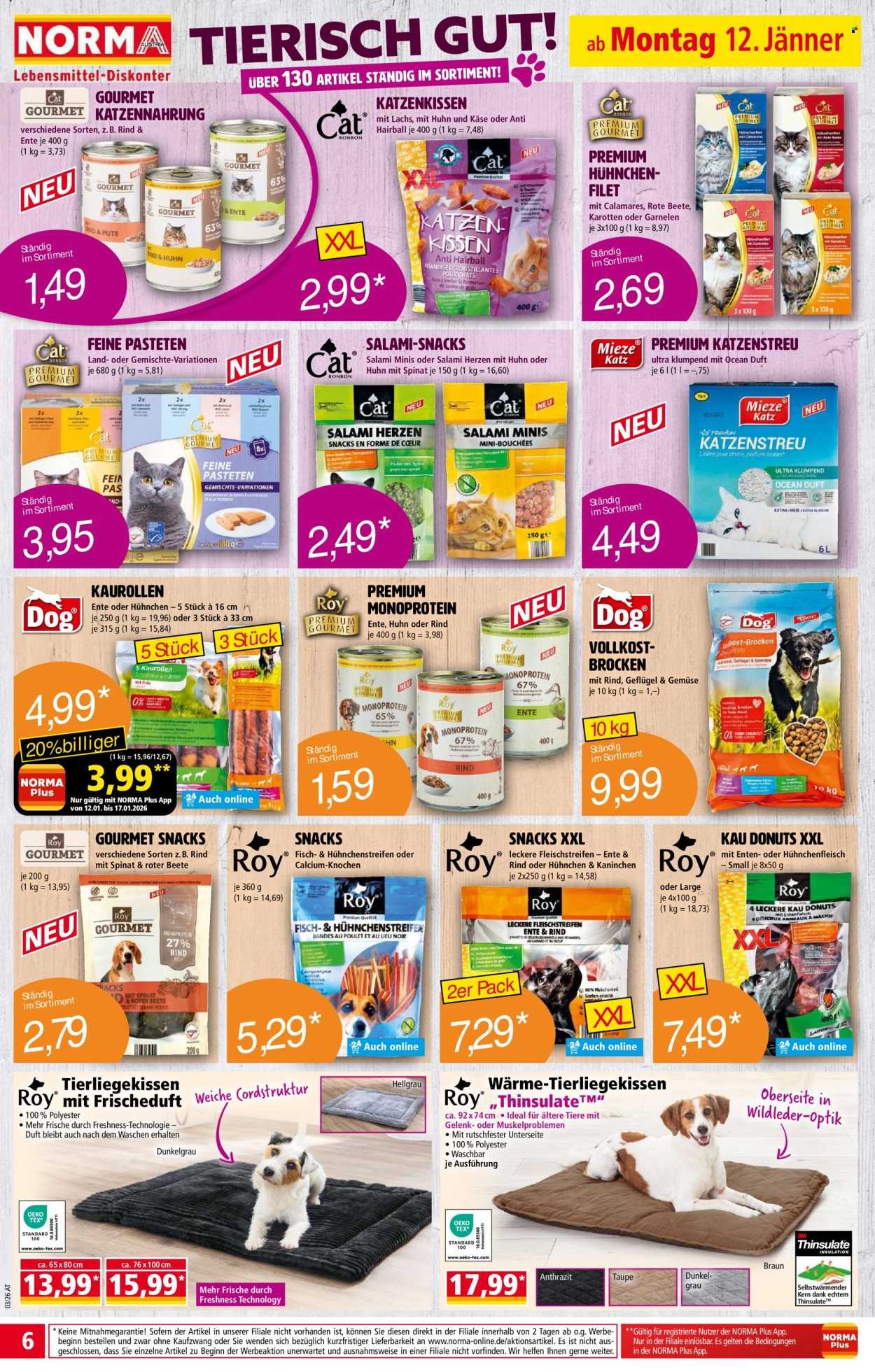 NORMA Flugblatt - Ab Montag, 12.1.2026
