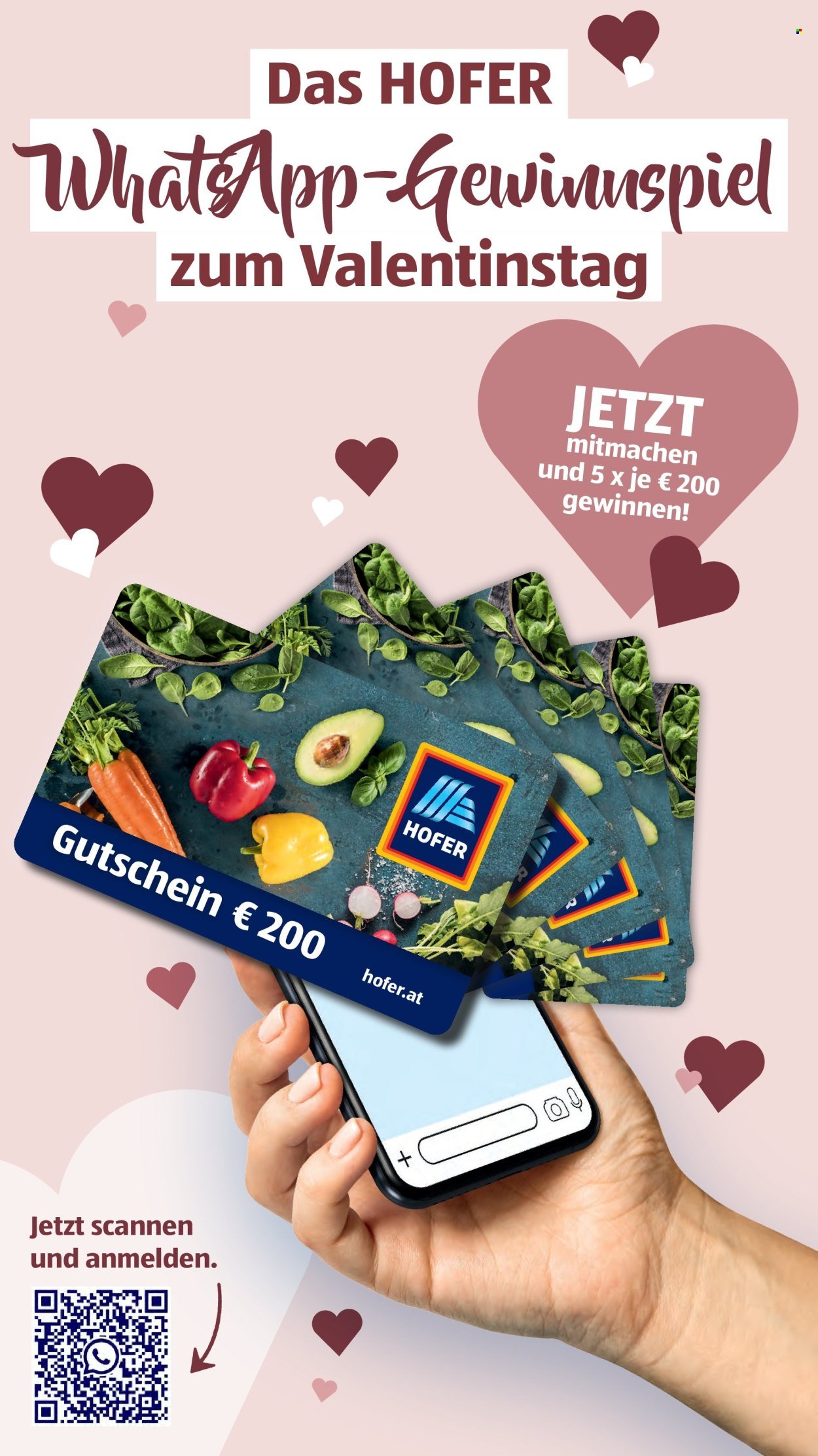 HOFER Flugblatt - Ab Freitag, 6.2.2026