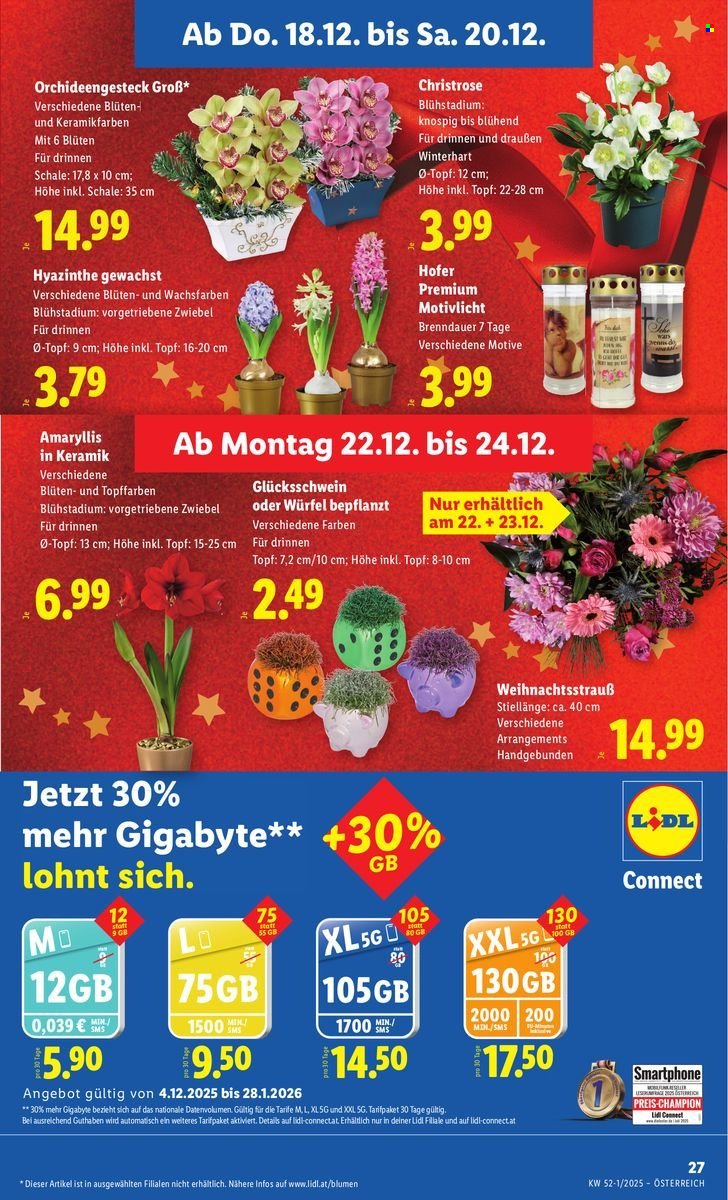 LIDL Flugblatt - Ab Donnerstag, 18.12.2025 (2025-12-18 - 2025-12-24) | 29