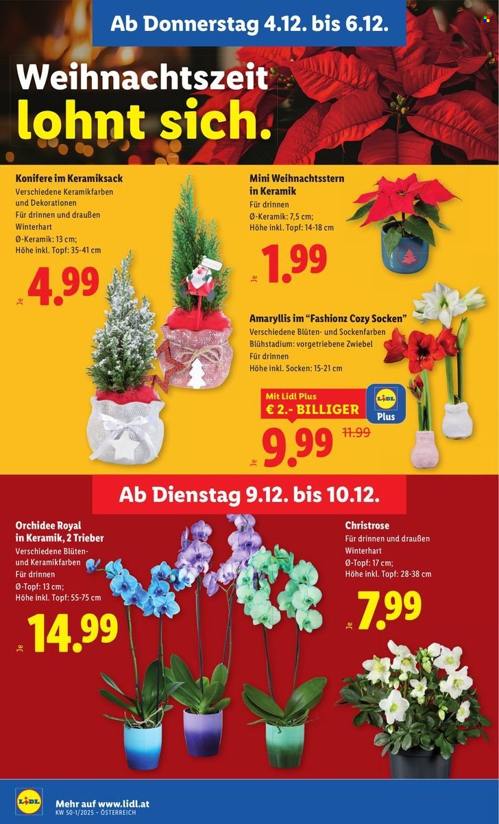 LIDL Flugblatt - Ab Donnerstag, 4.12.2025