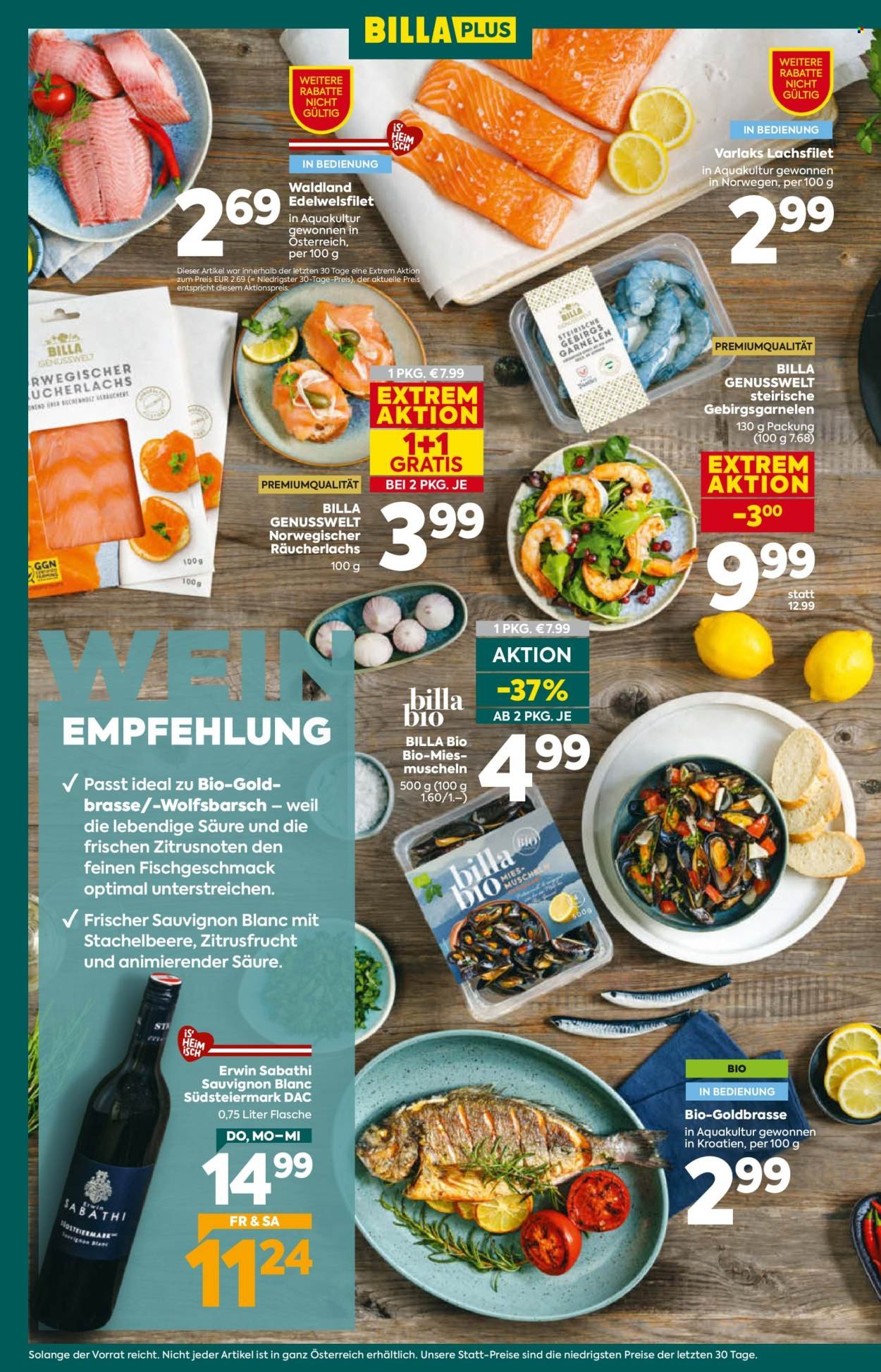 BILLA PLUS Flugblatt - Ab Donnerstag, 17.9.2026