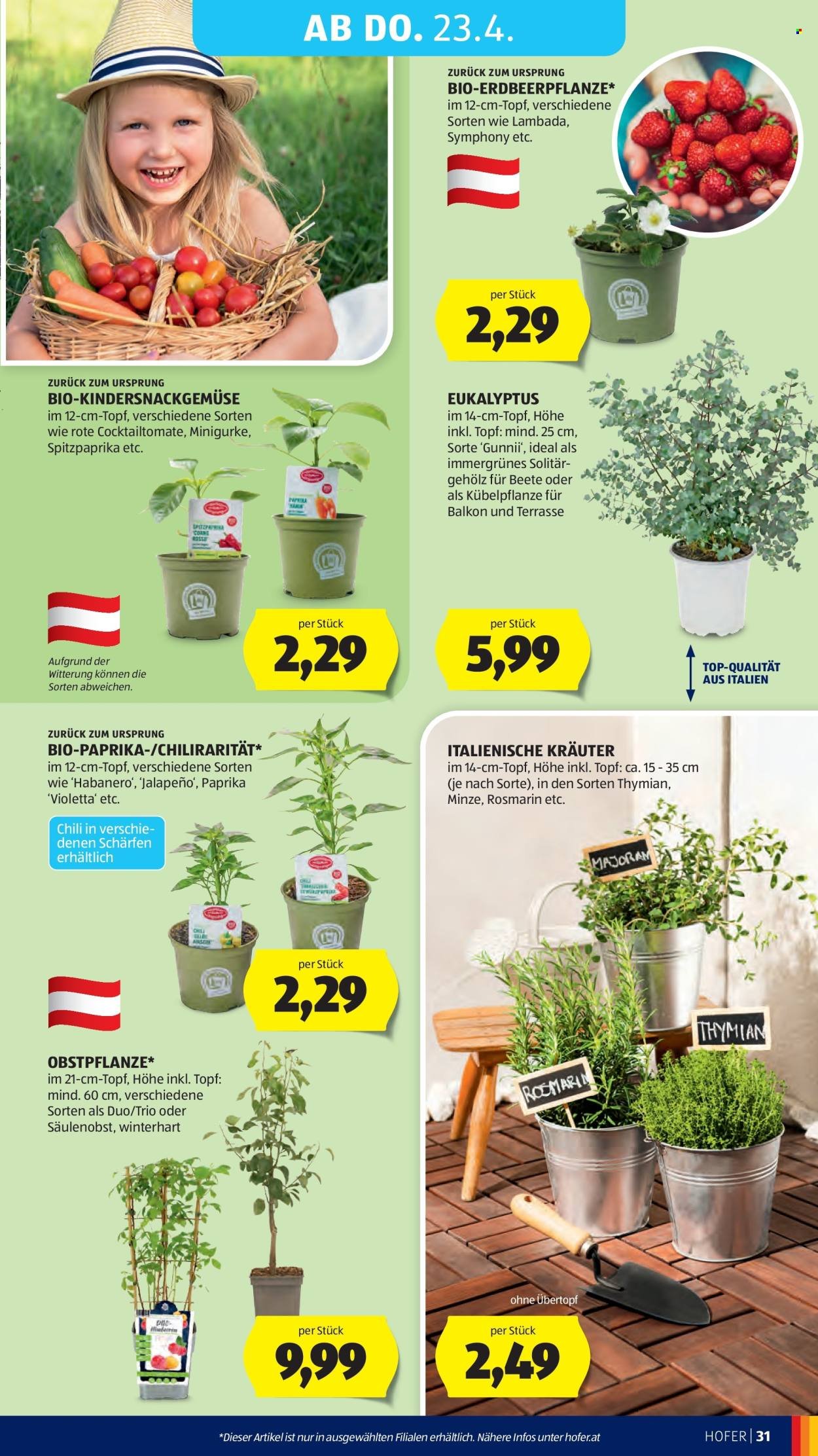 HOFER Flugblatt - Ab Freitag, 17.4.2026 (2026-04-17 - 2026-04-23) | 35