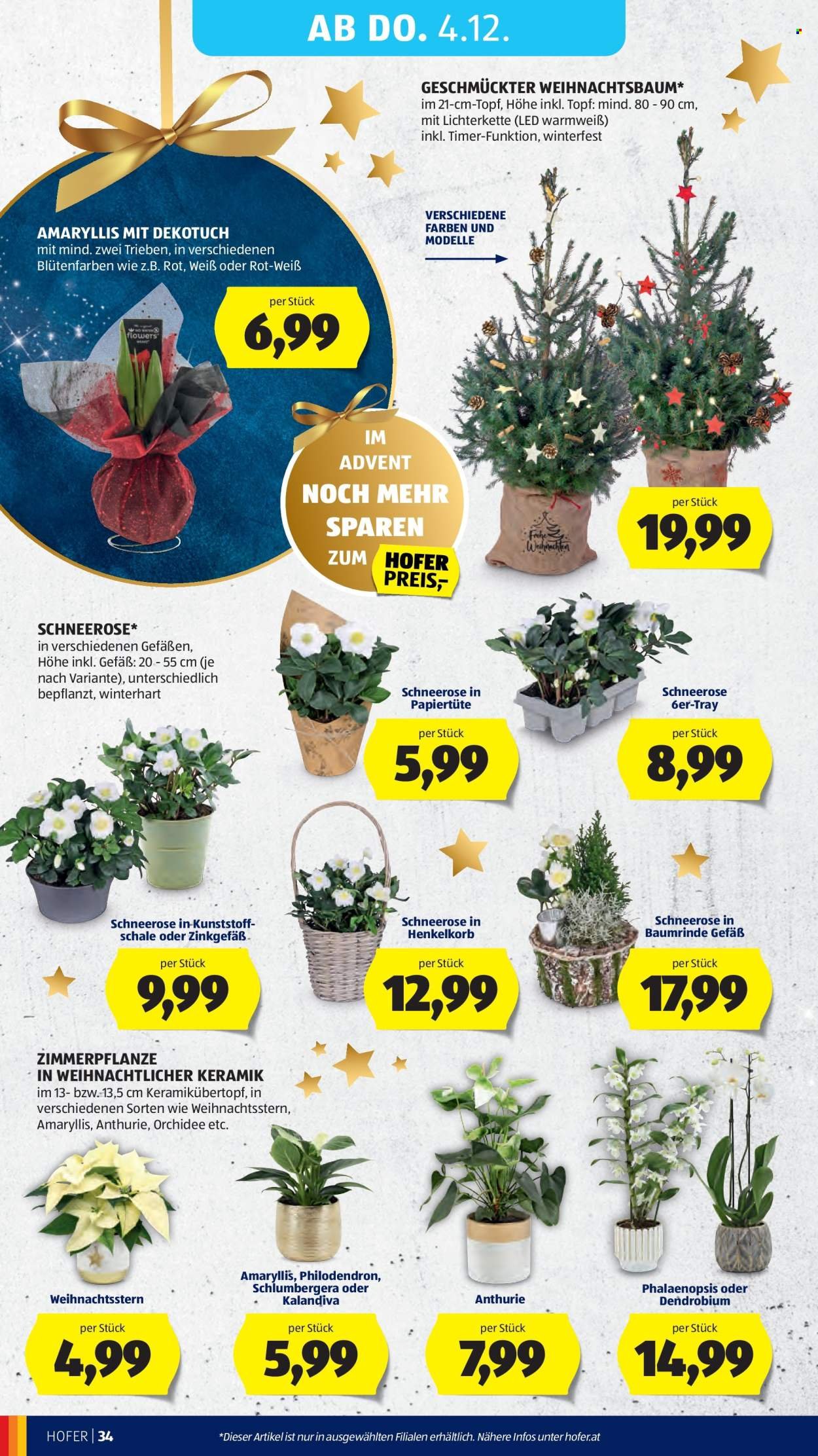 HOFER Flugblatt - Ab Freitag, 28.11.2025