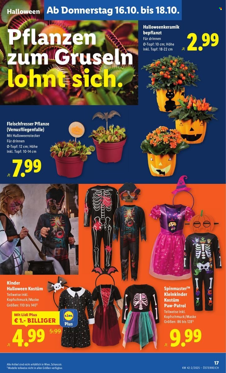 LIDL Flugblatt - Ab Donnerstag, 16.10.2025 (2025-10-16 - 2025-10-22)